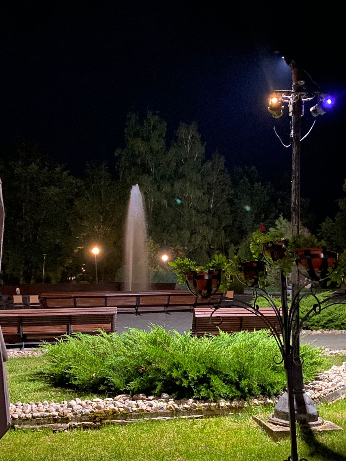 Фото Вестник