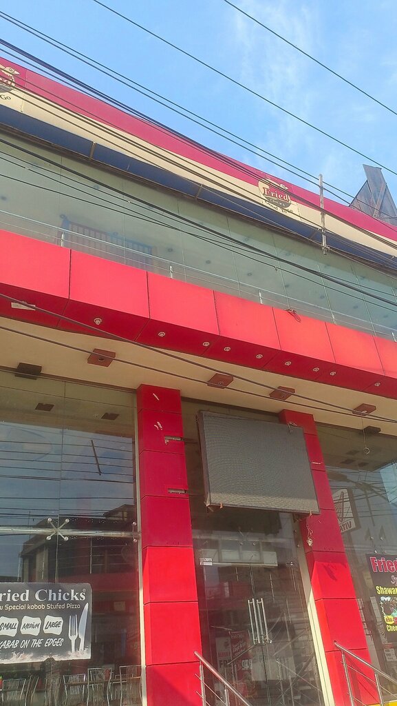 Agricultural enterprise Fried Chicks, Lahore, photo