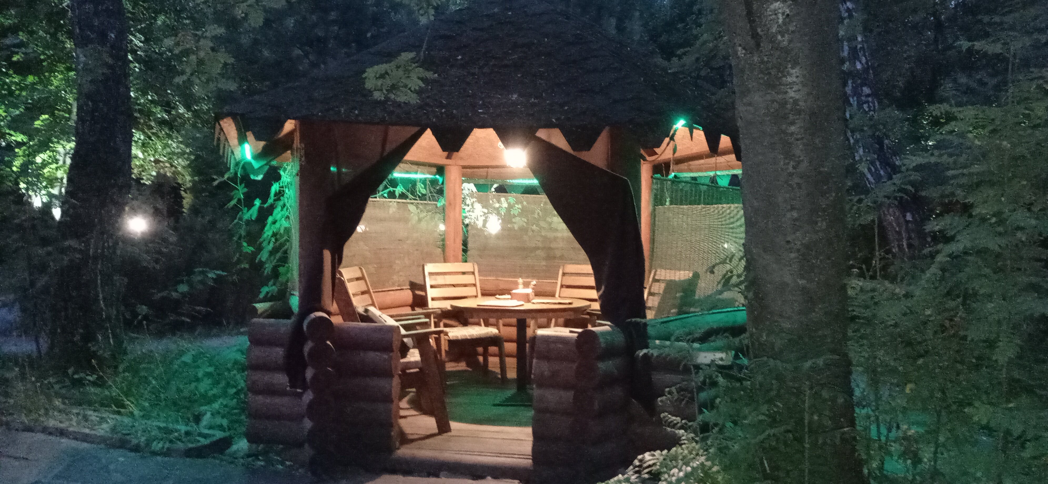 Фото Русский лес