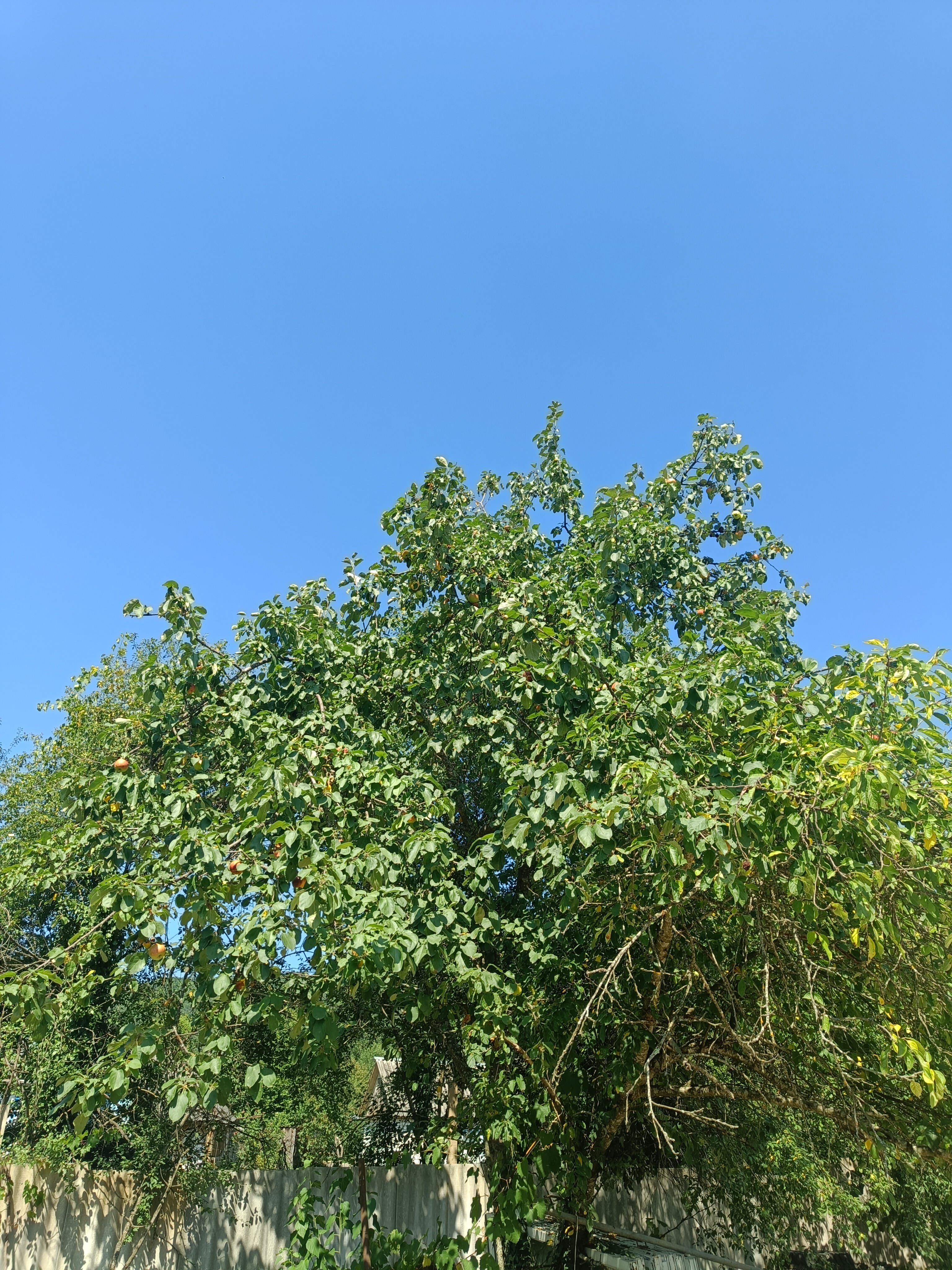 Фото Солнечный берег