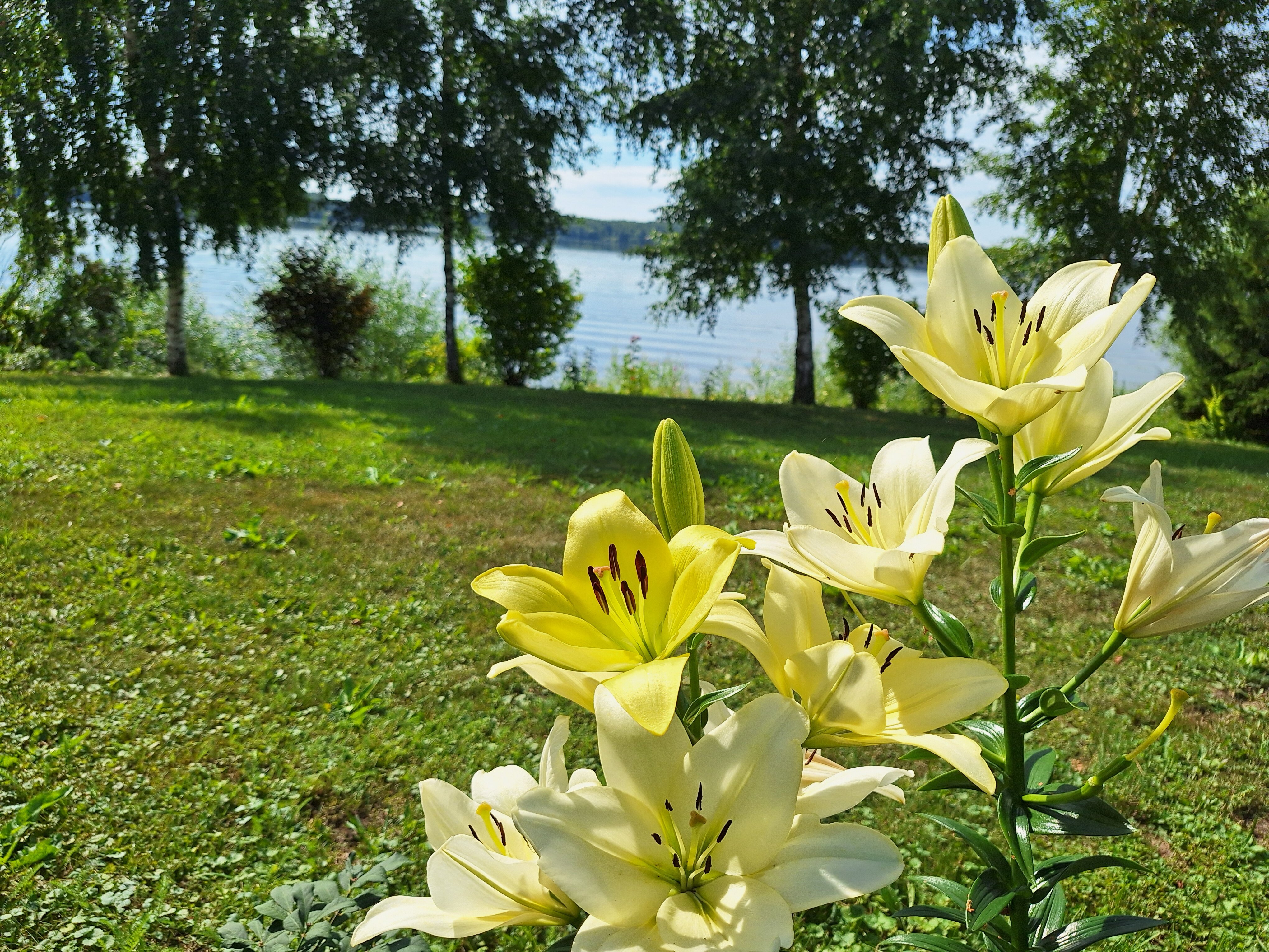 Фото Дом на Волге