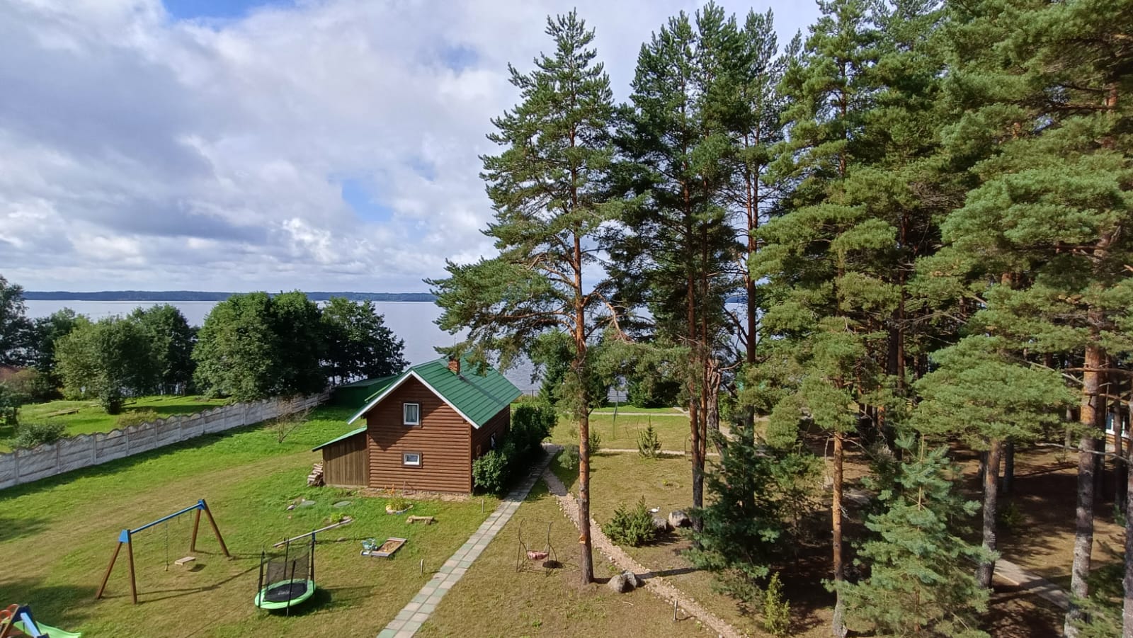 Фото Можжевеловый бор