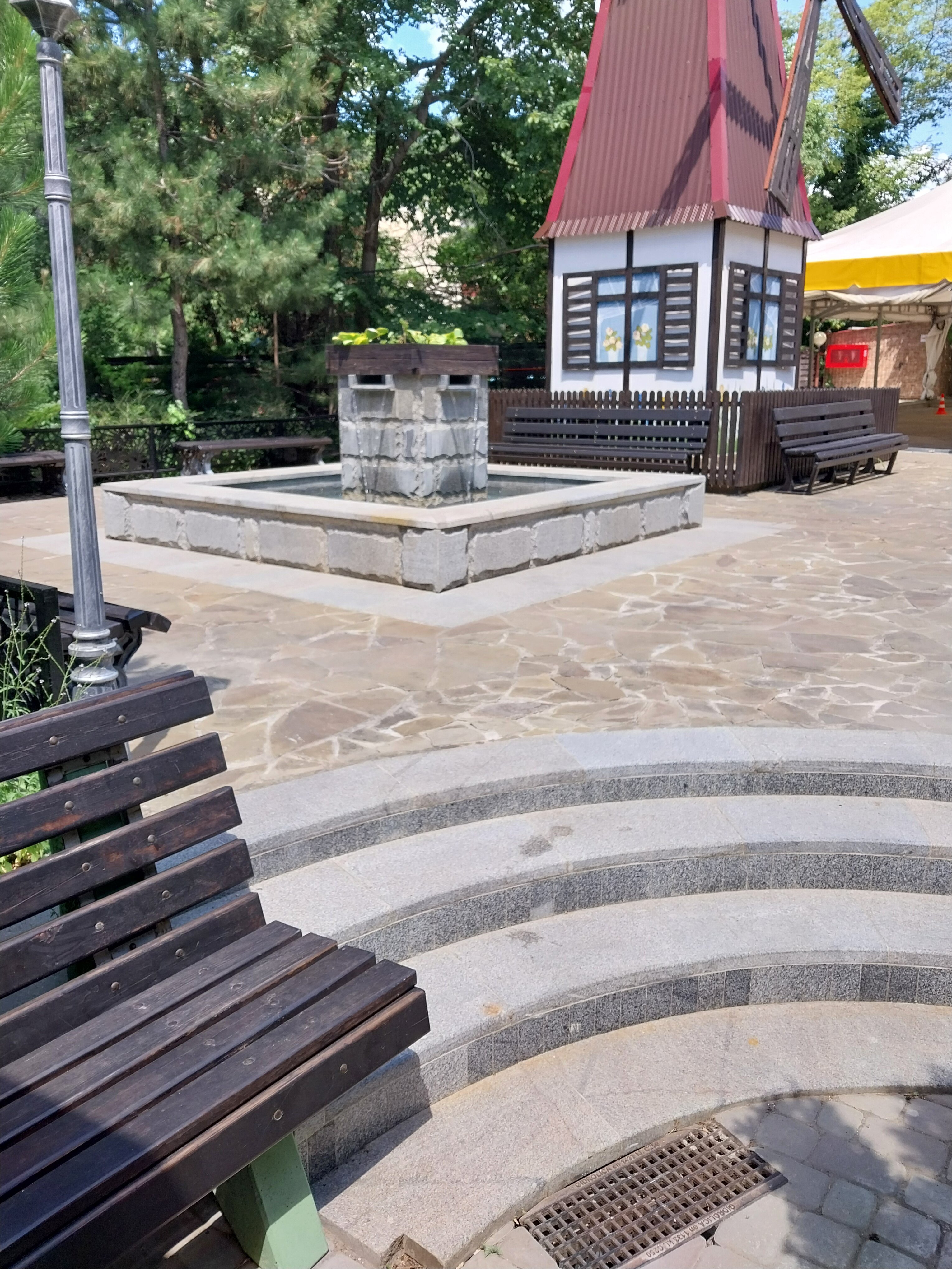 Фото Лесная сказка