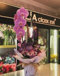 Lilia Flower House Organization (Eskisehir, Odunpazari District, Visnelik Neighborhood, Ogretmenler Avenue, 92A), flower shop