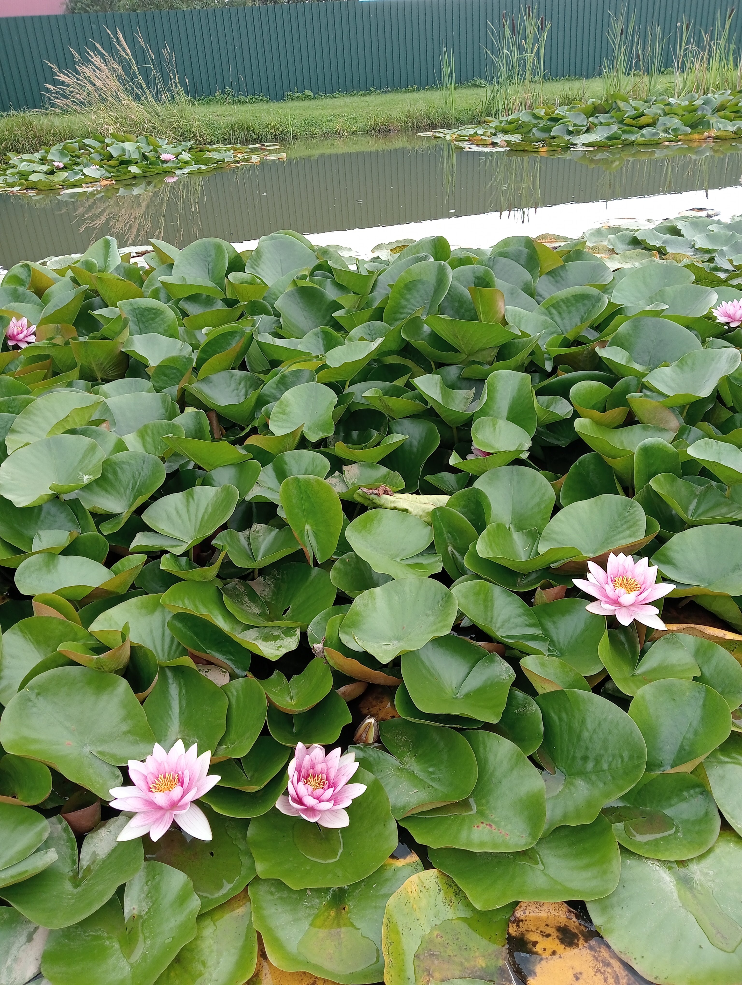 Фото Усадьба Королевич