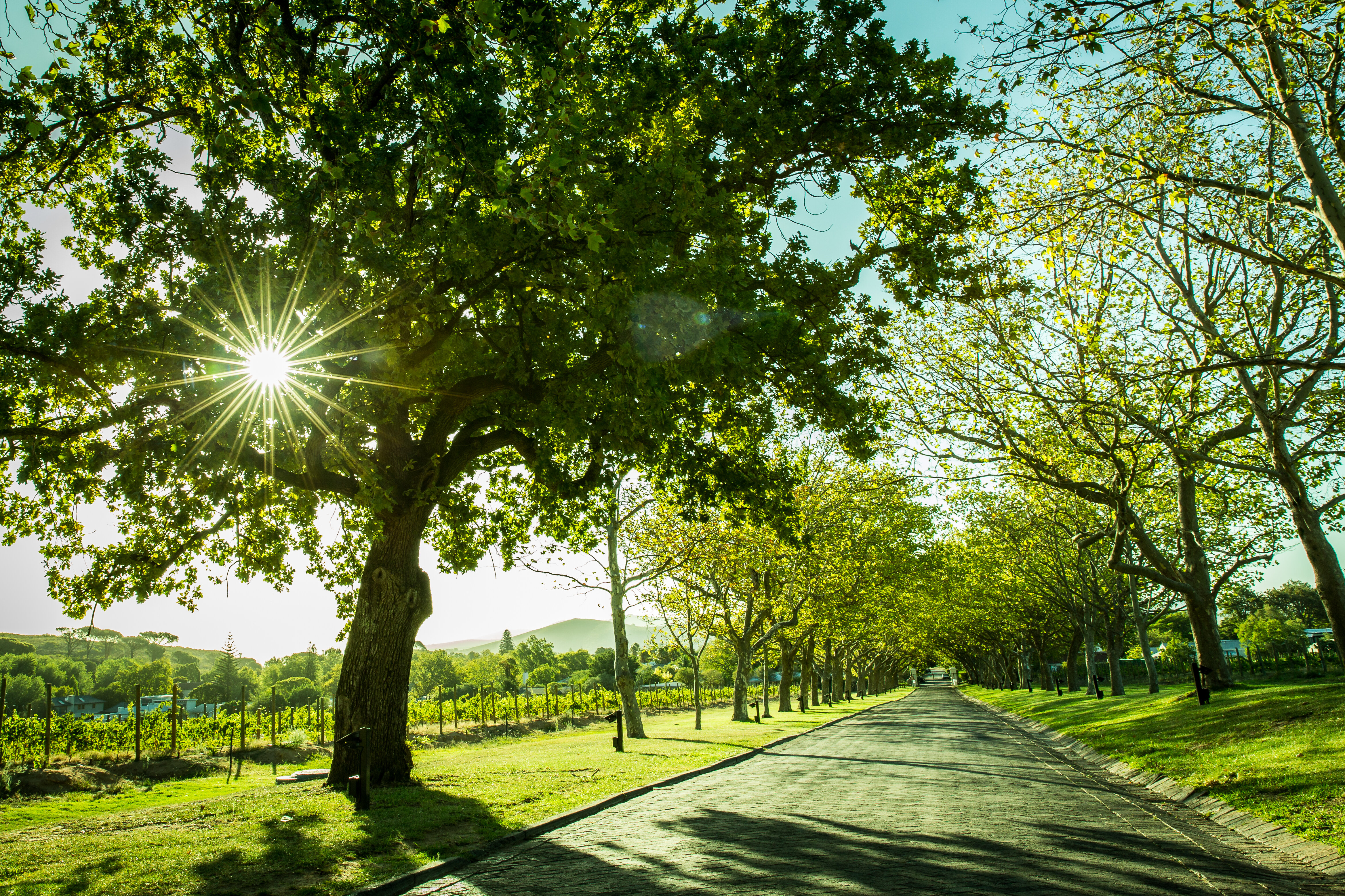 Фото Lanzerac Hotel