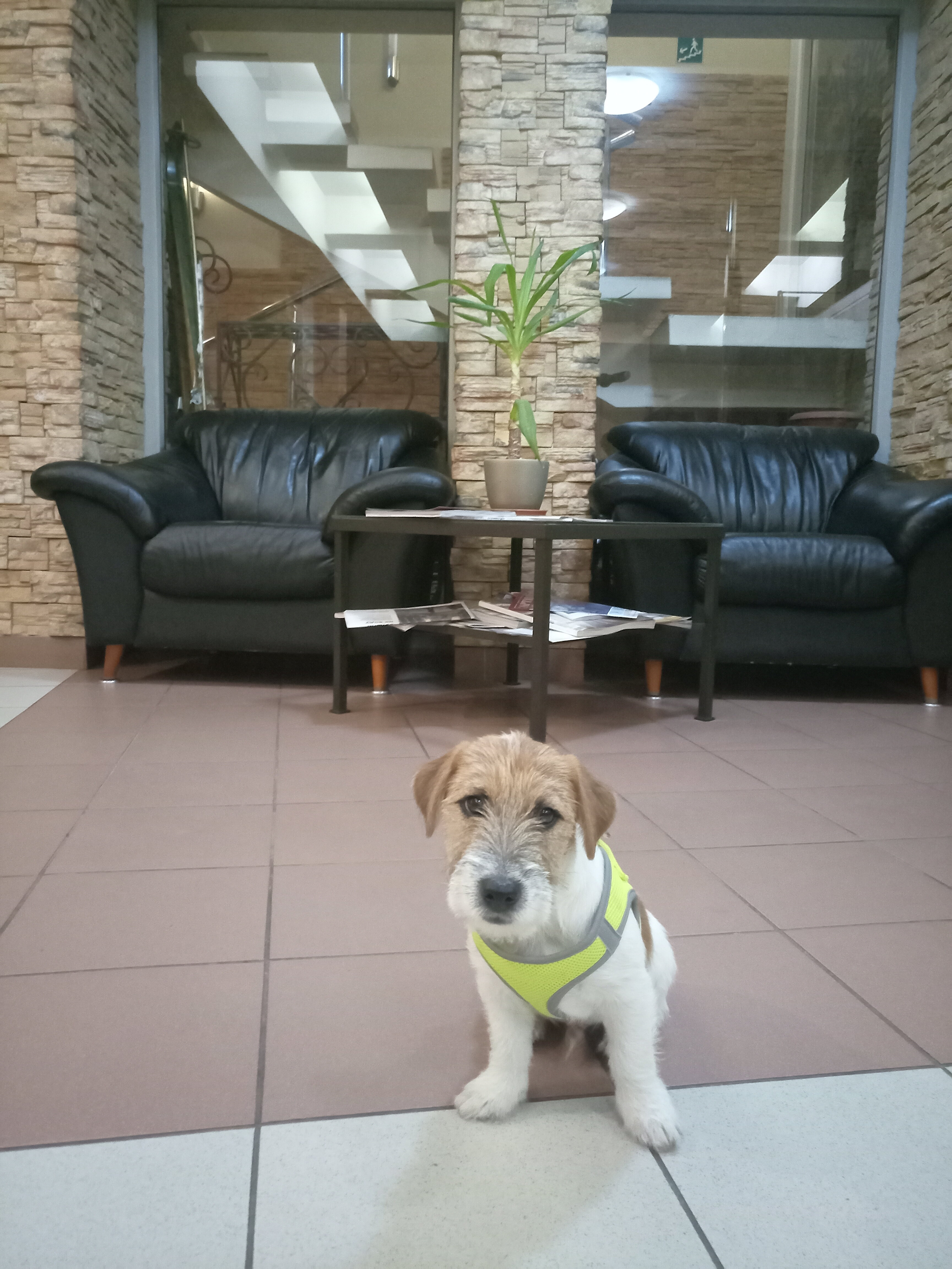 Фото Мебелированные комнаты Курская 10