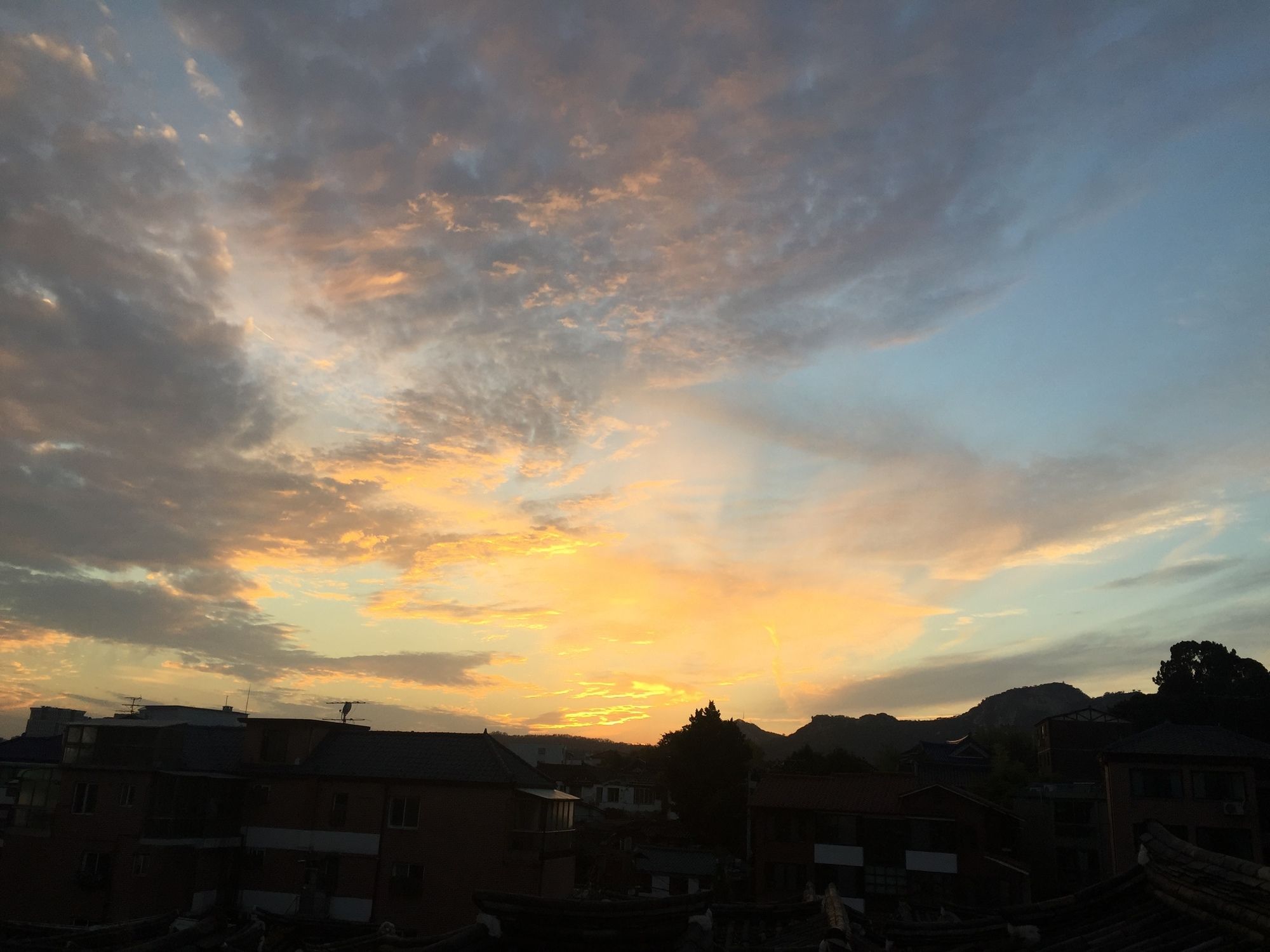 Фото Mon Oncle a Seoul