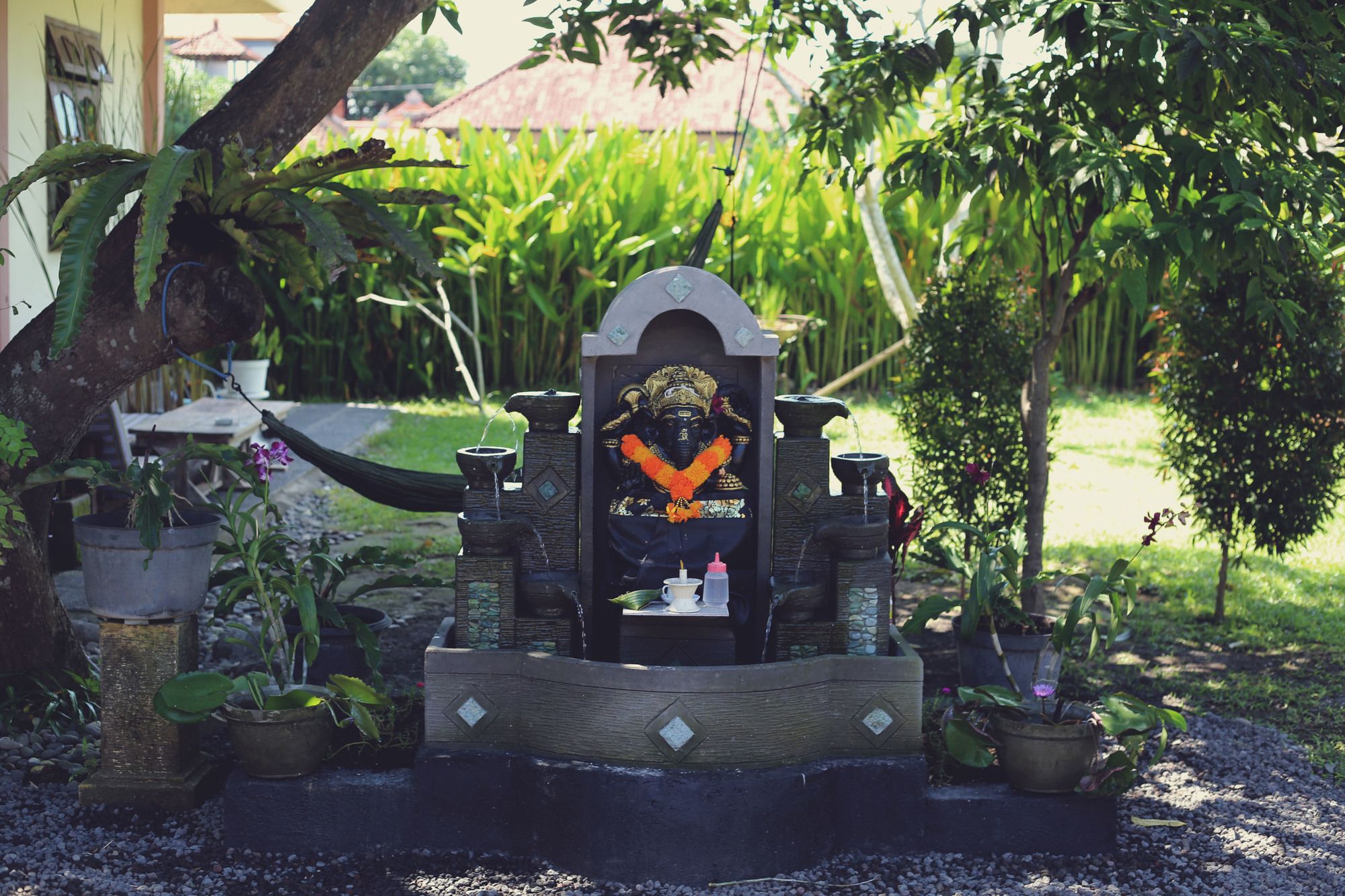 Фото Surfers House