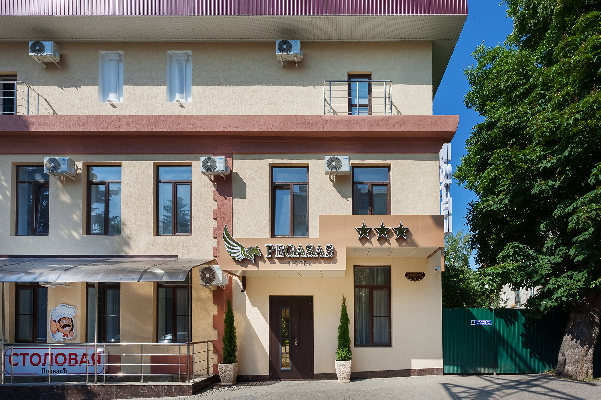 Фото Пегасас