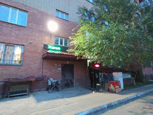 Дикті кискаға түсіру