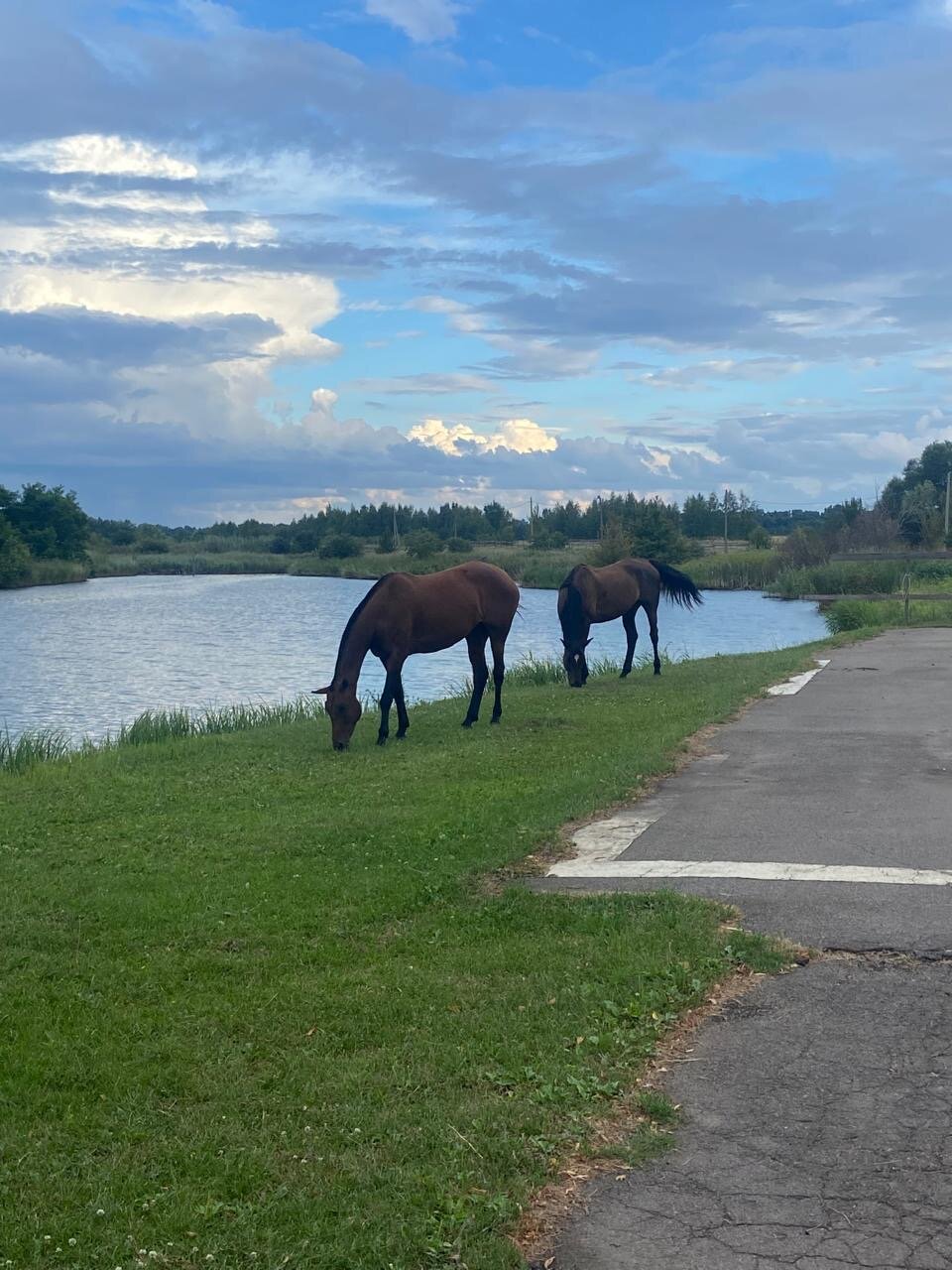 Фото Zолотой саZан