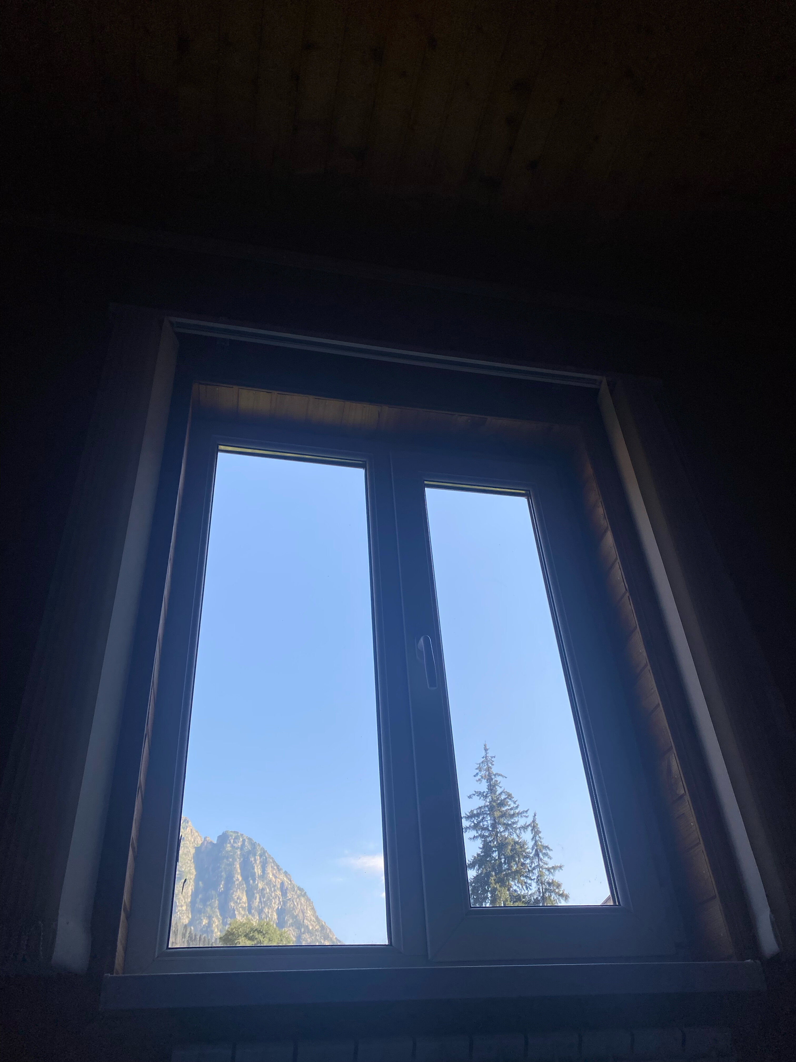 Фото Лесная Сказка