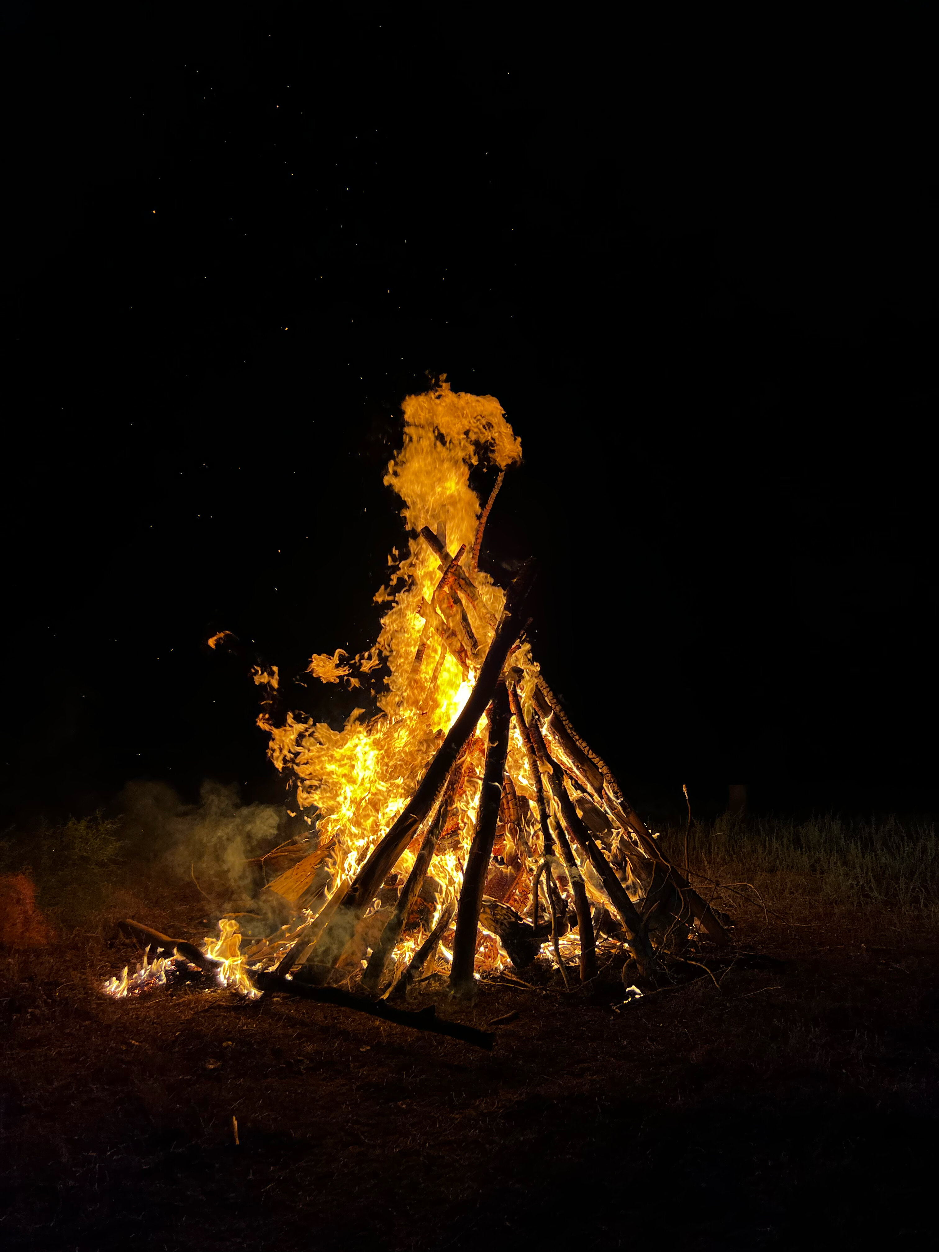 Фото Высокий берег