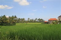Фото Bakung Ubud Resort and Villa