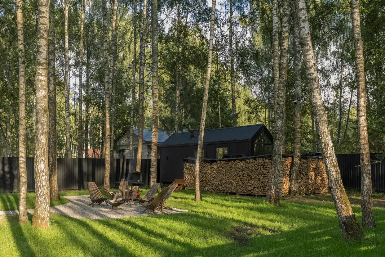 Фото У Березы