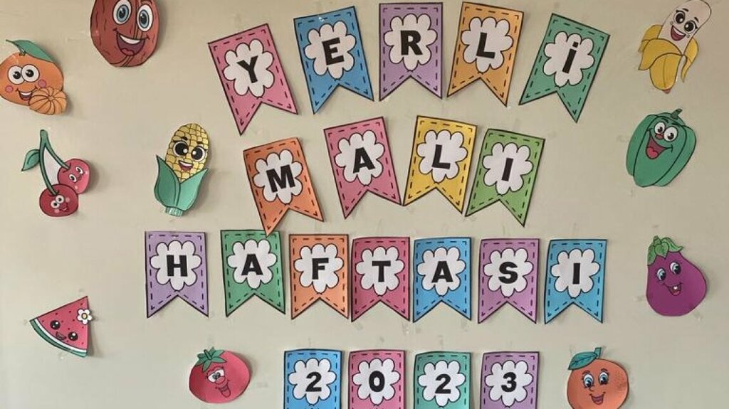 Primary school Kapakli Primary School, Vezirkopru, photo