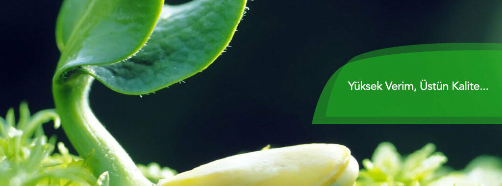 Agricultural enterprise Ay-dem Tarım, Izmir, photo