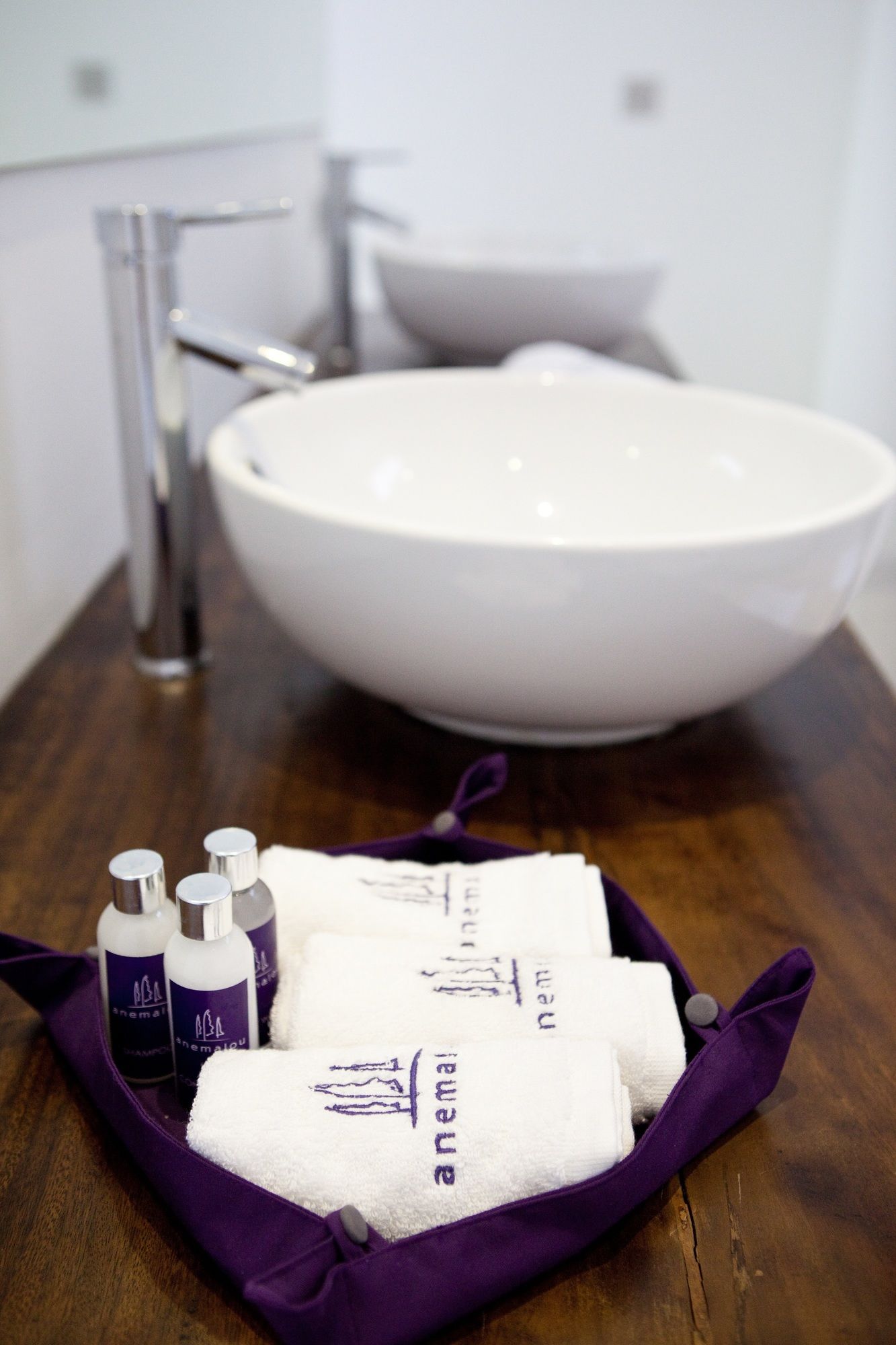 Фото Anema Wellness & Resort