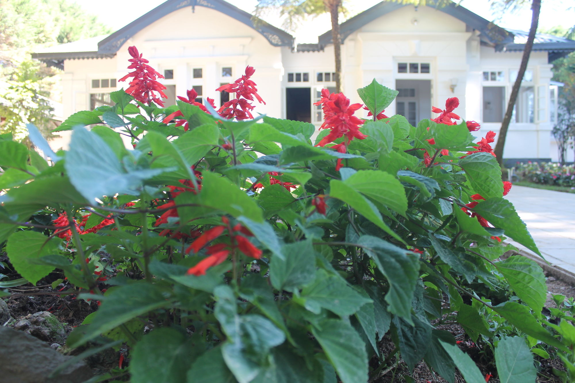 Фото Mirage Kings Cottage