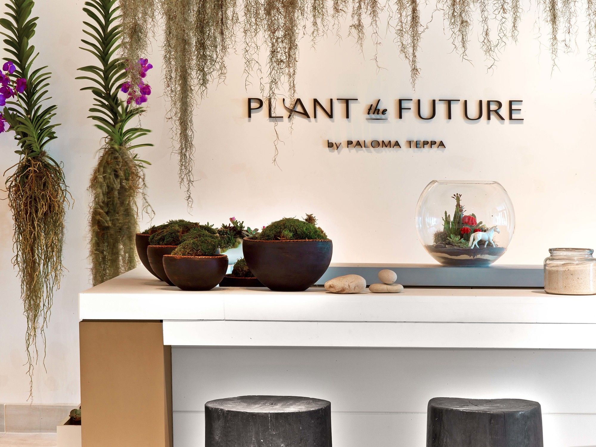 Фото The Retreat Collection at 1 Hotel & Homes South Beach