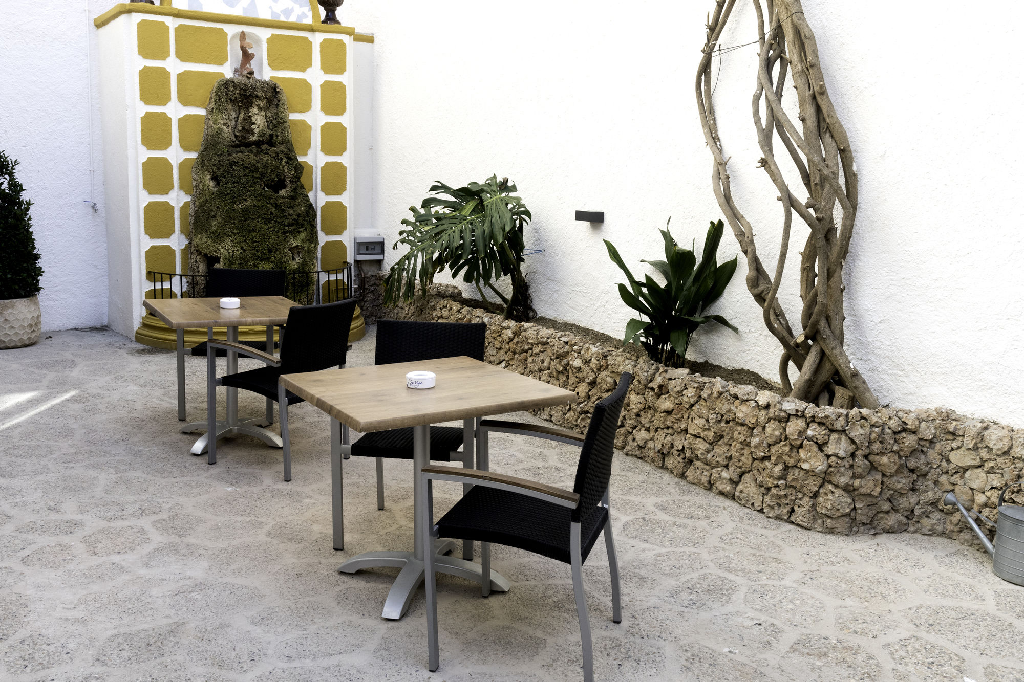 Фото Hotel Sa Voga