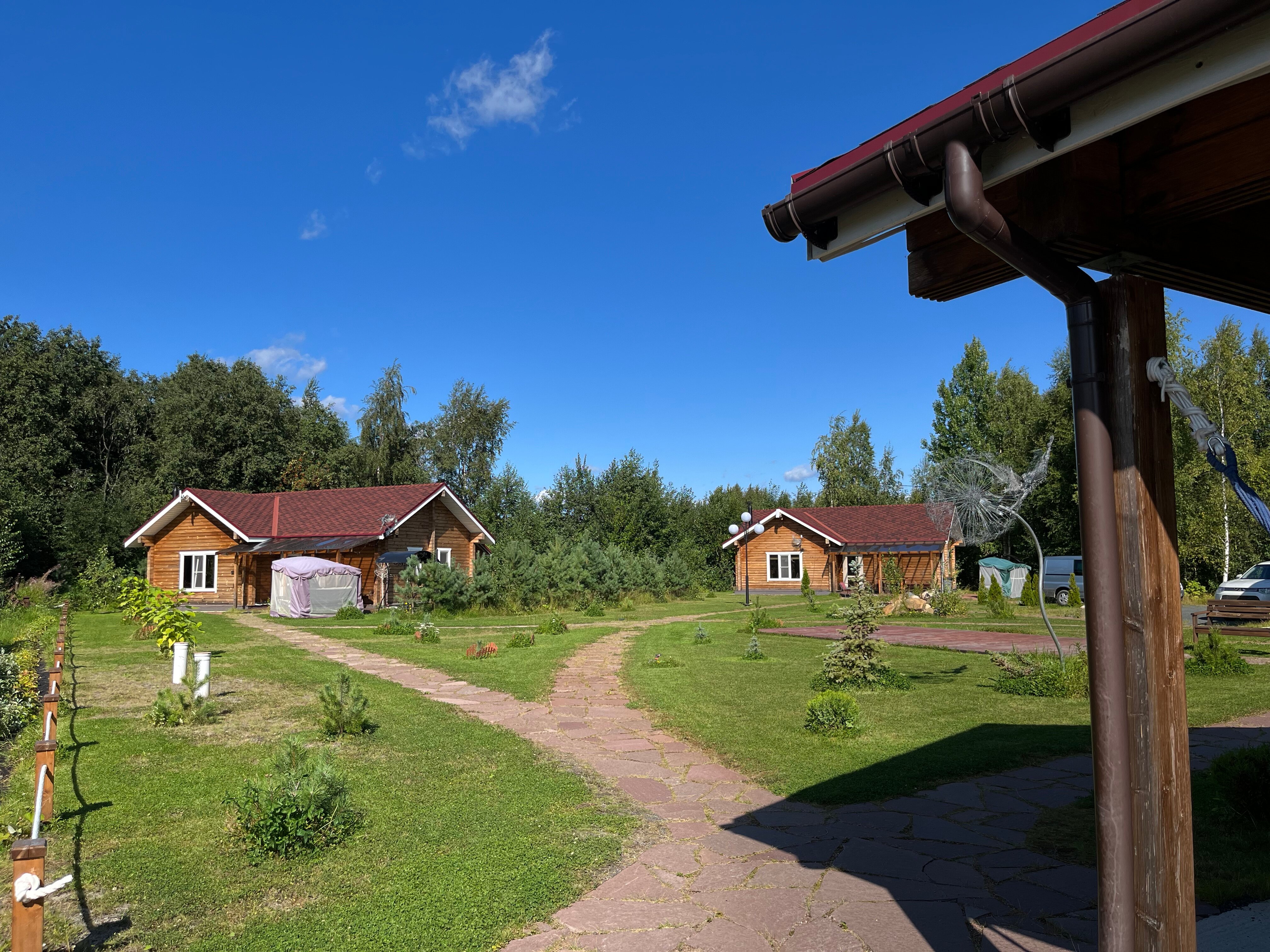 Фото Крокус