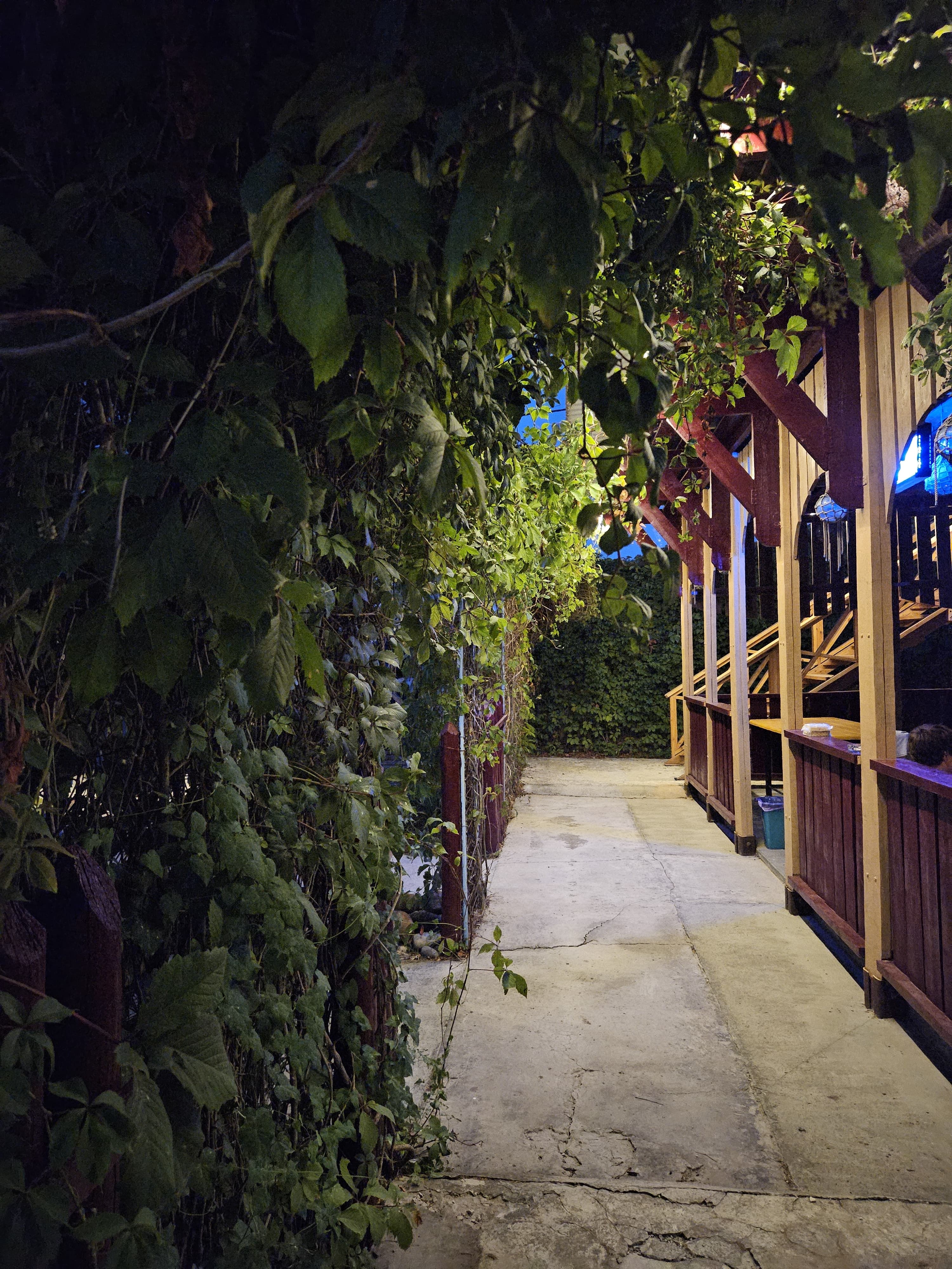 Фото Касабланка