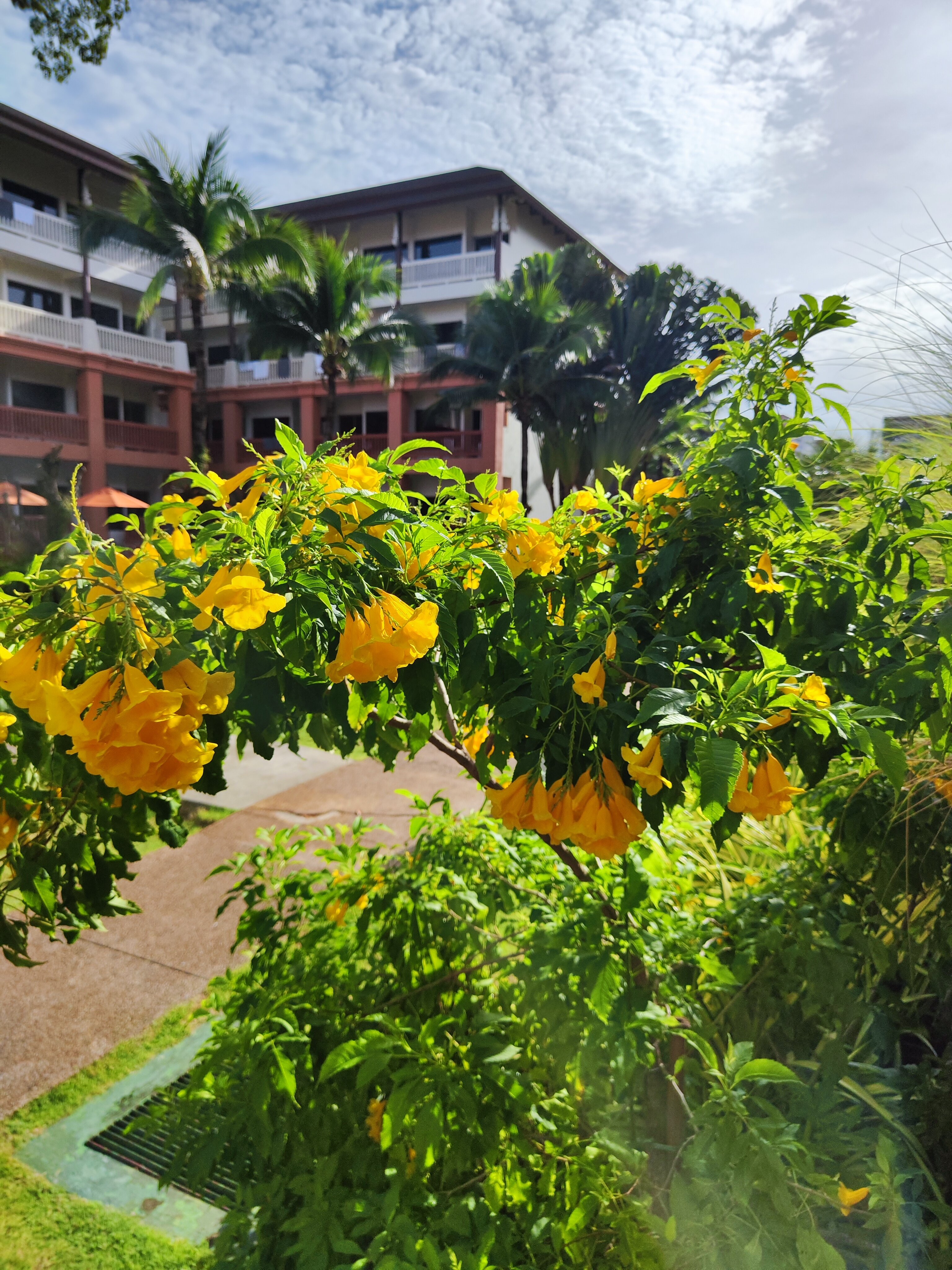 Фото Kata Sea Breeze Resort