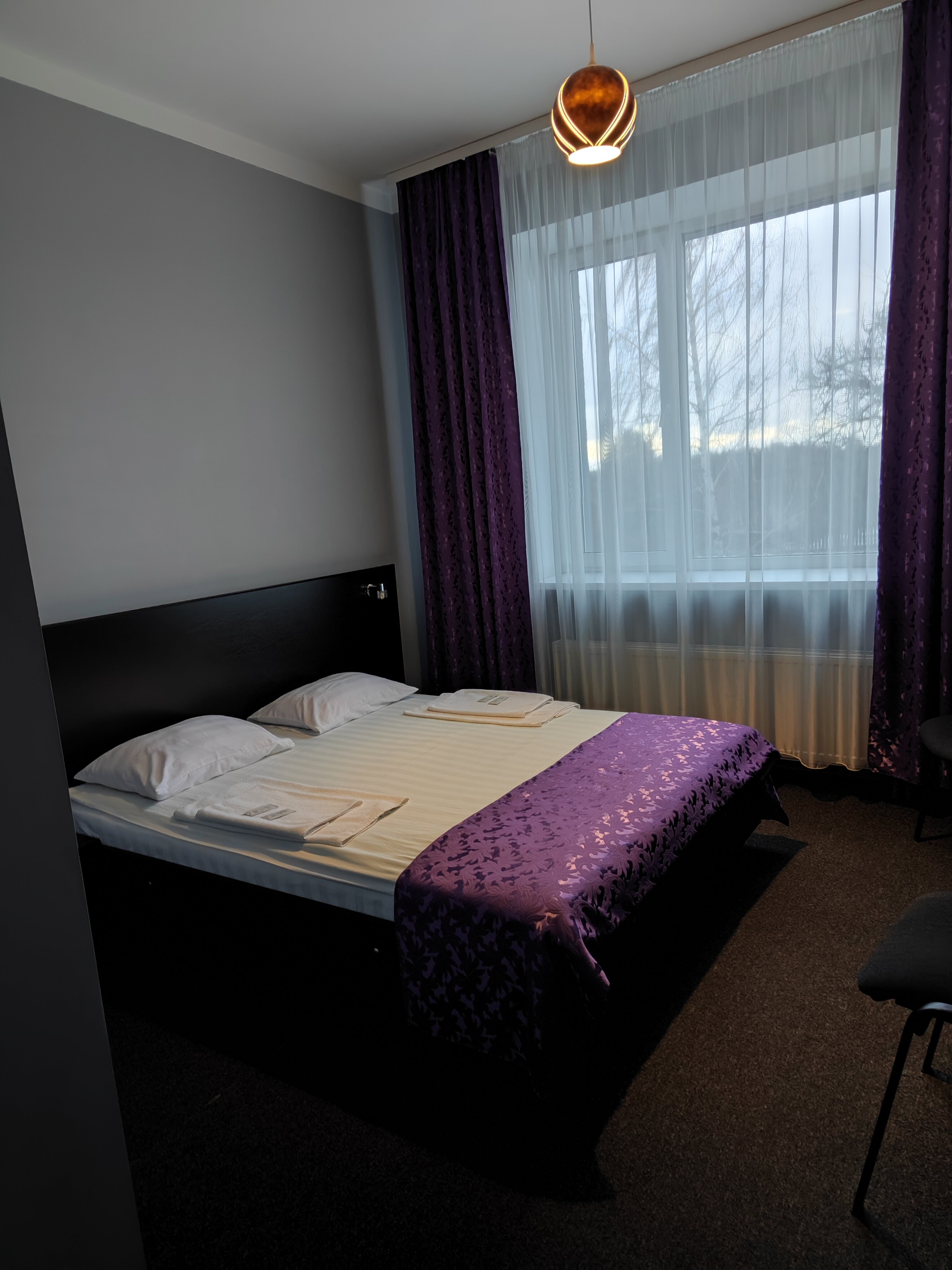 Фото Крокус