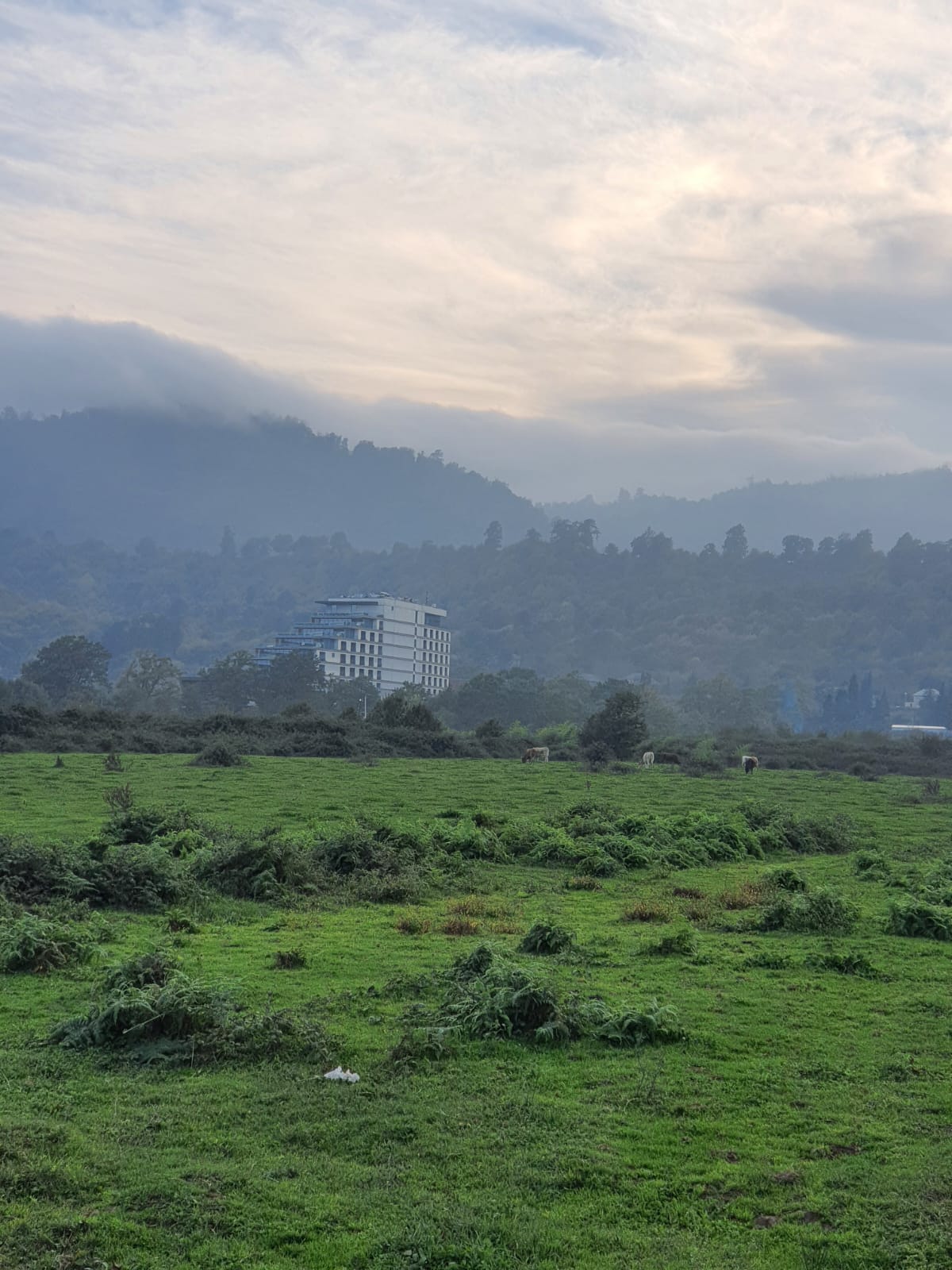 Фото Lankaran Springs Wellness Resort