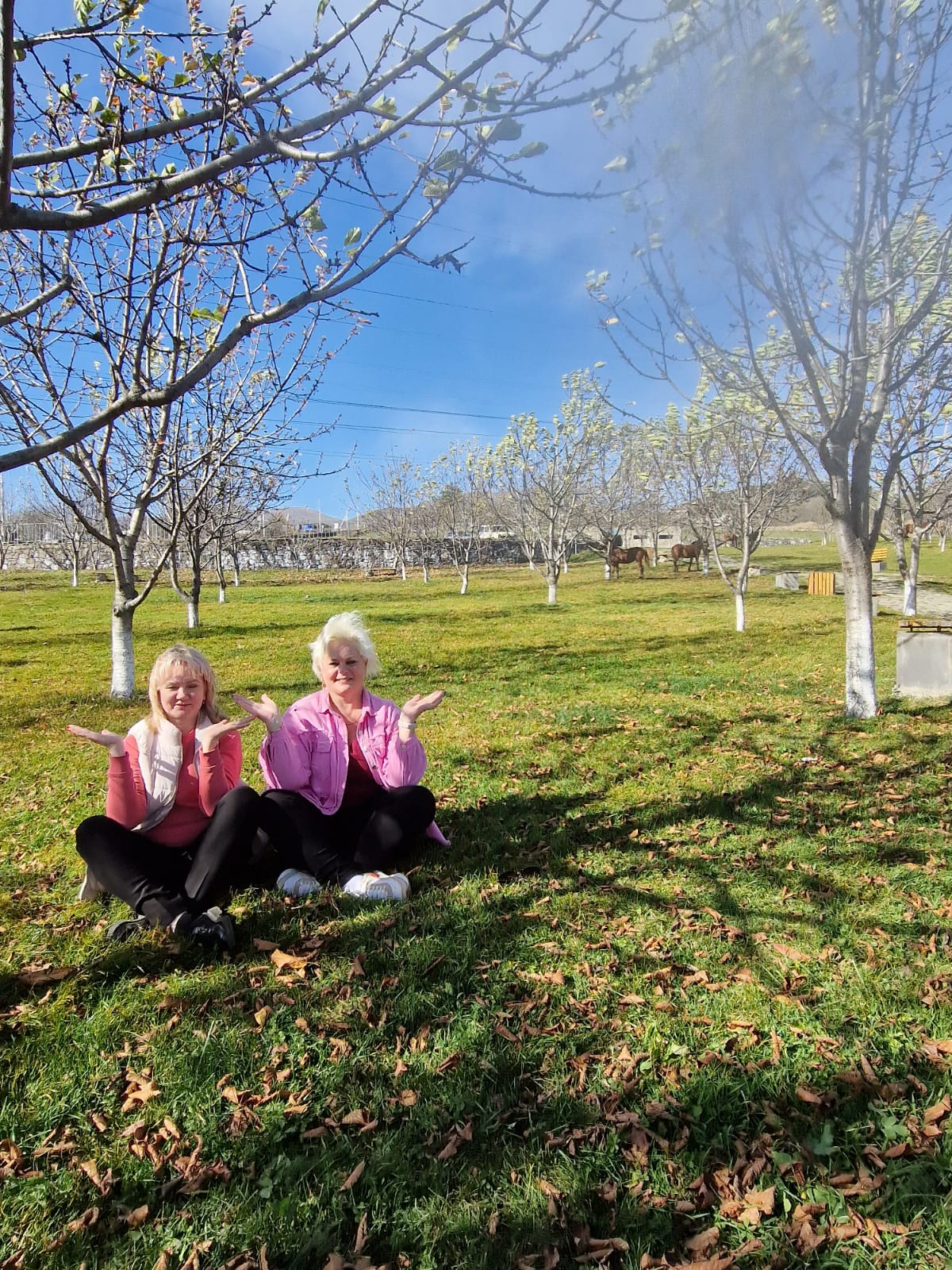 Фото Джермук Москва