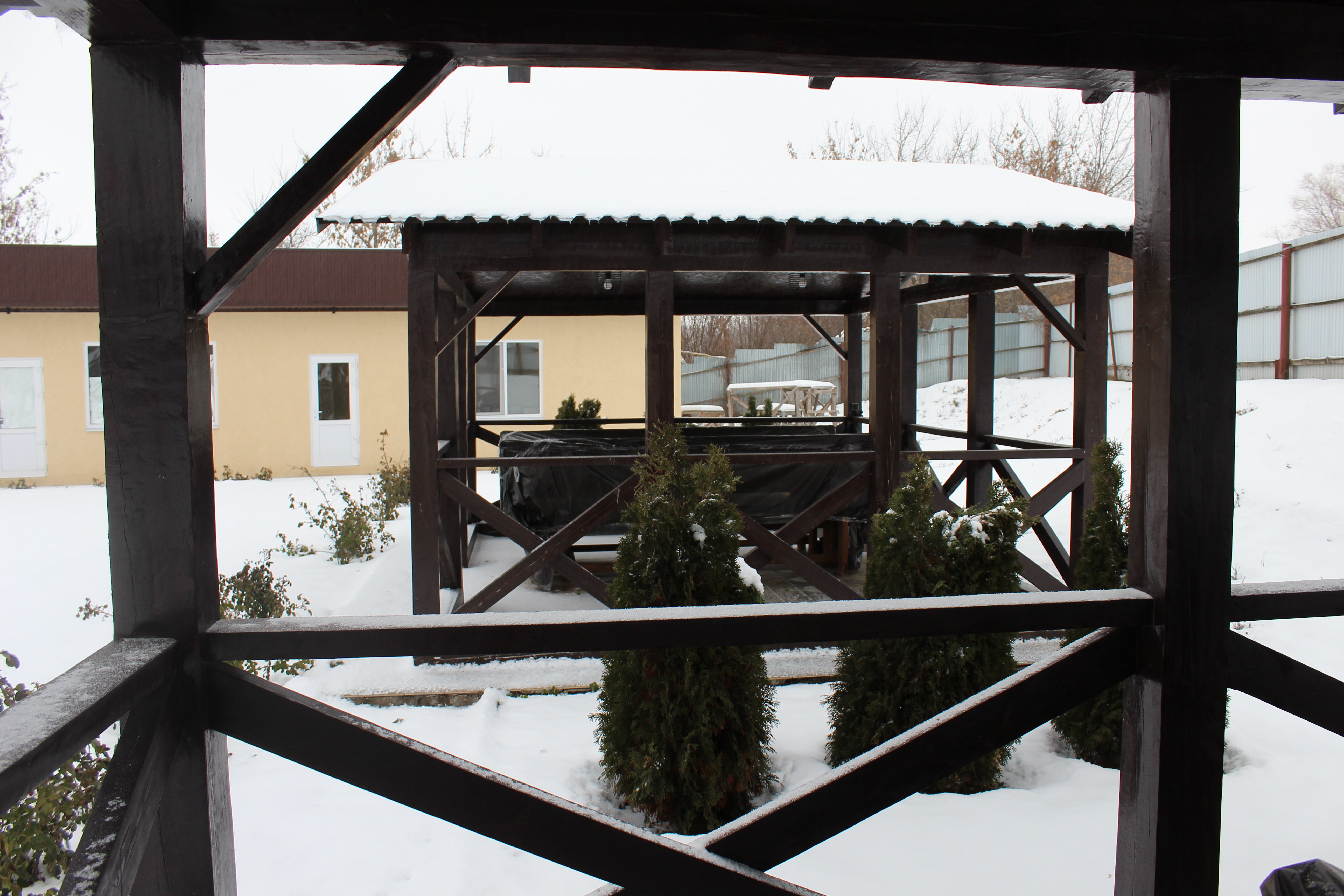 Фото Александрия