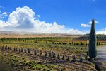 Bahor Gullari (Tashkent Region, Kibray District), plant nursery