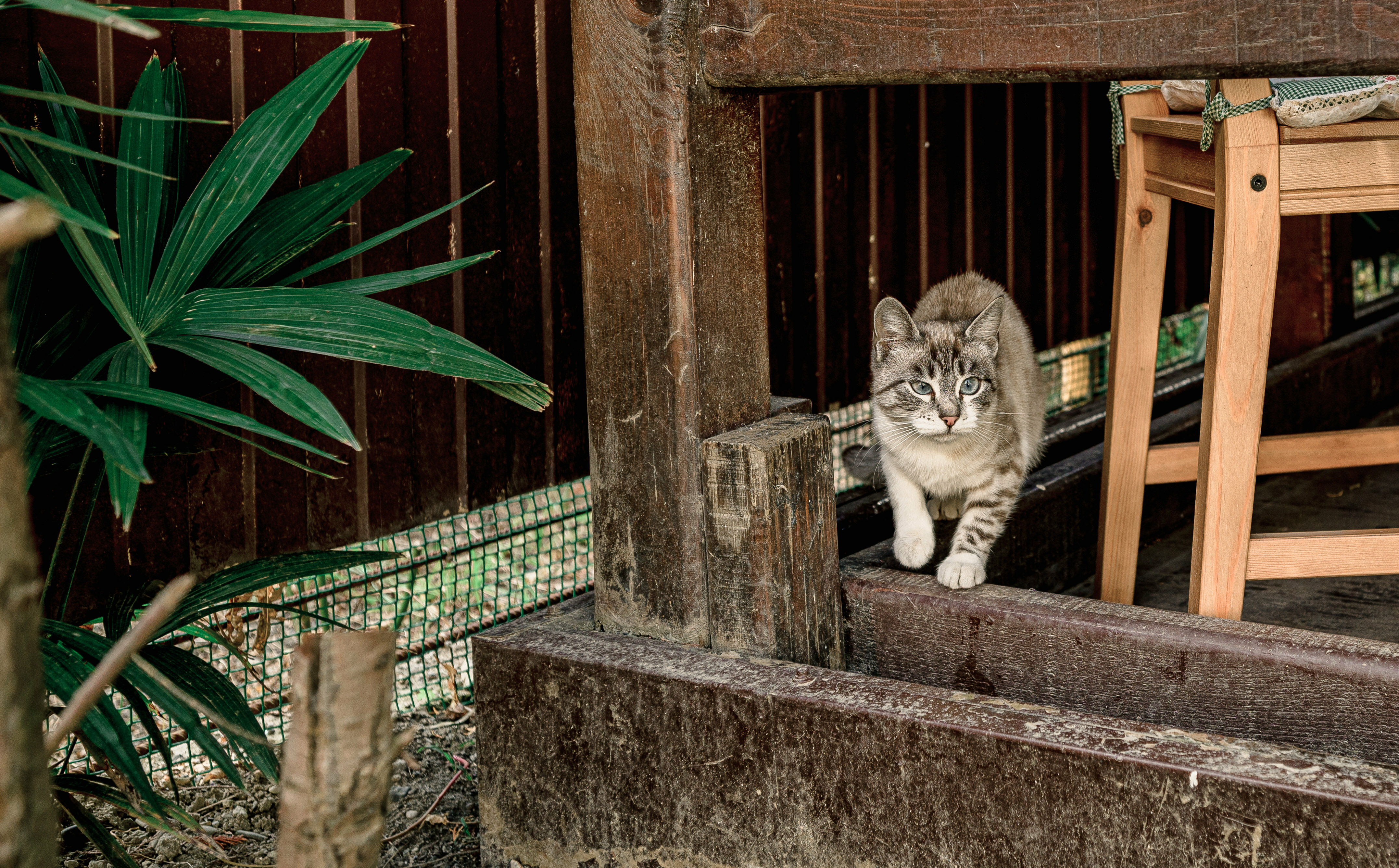 Фото Прованс