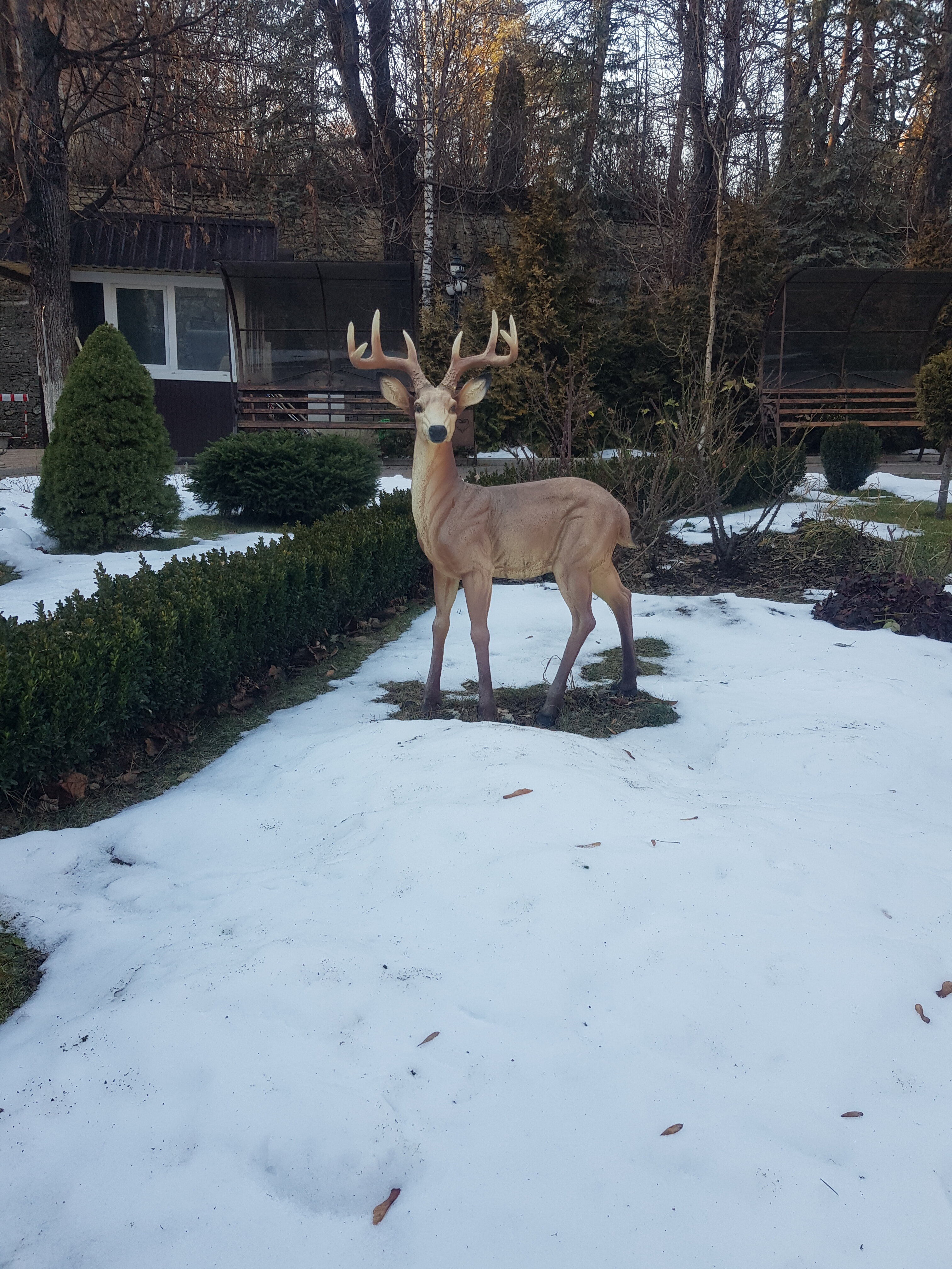 Фото Белая дача