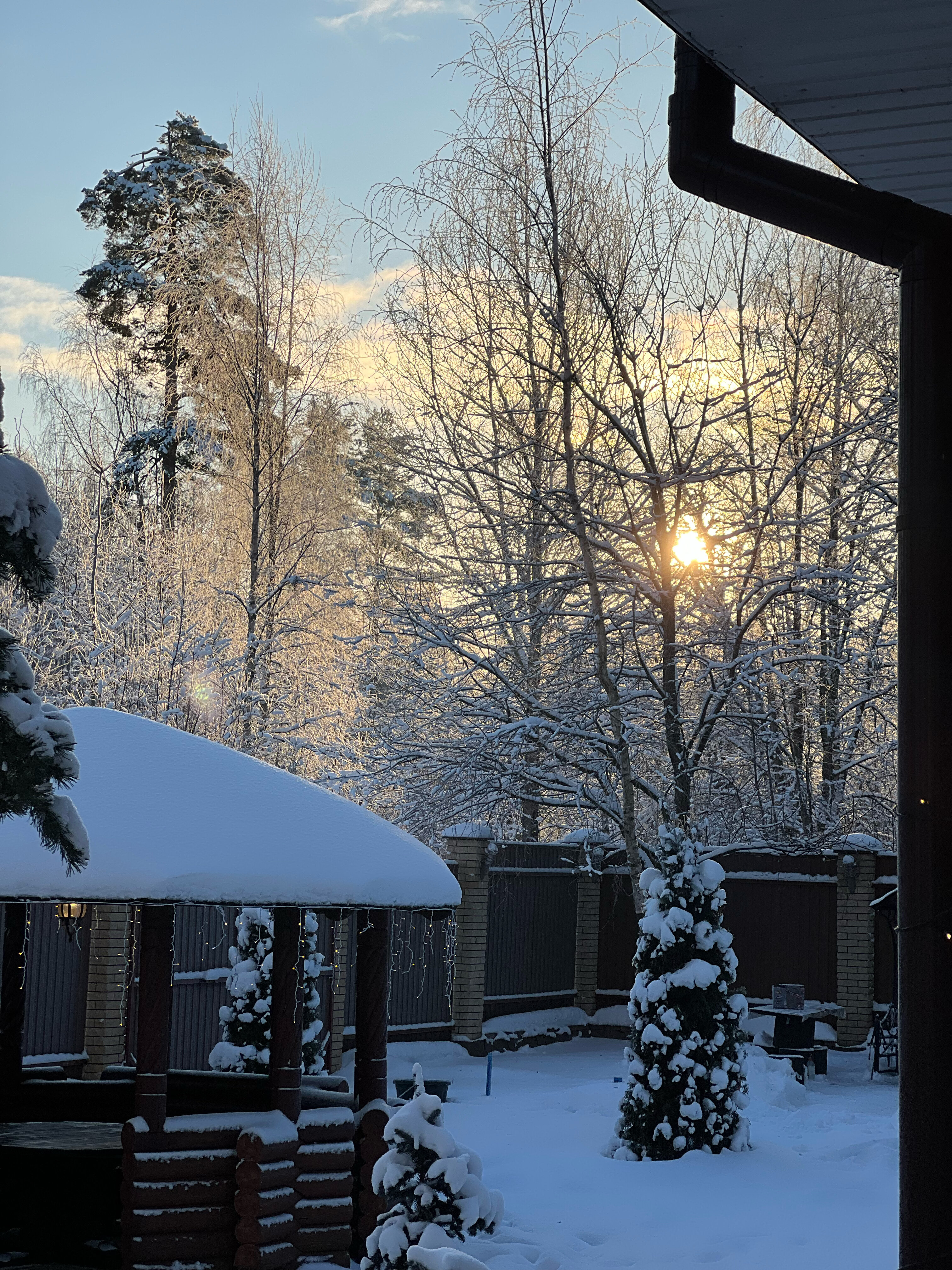 Фото Кают-компания