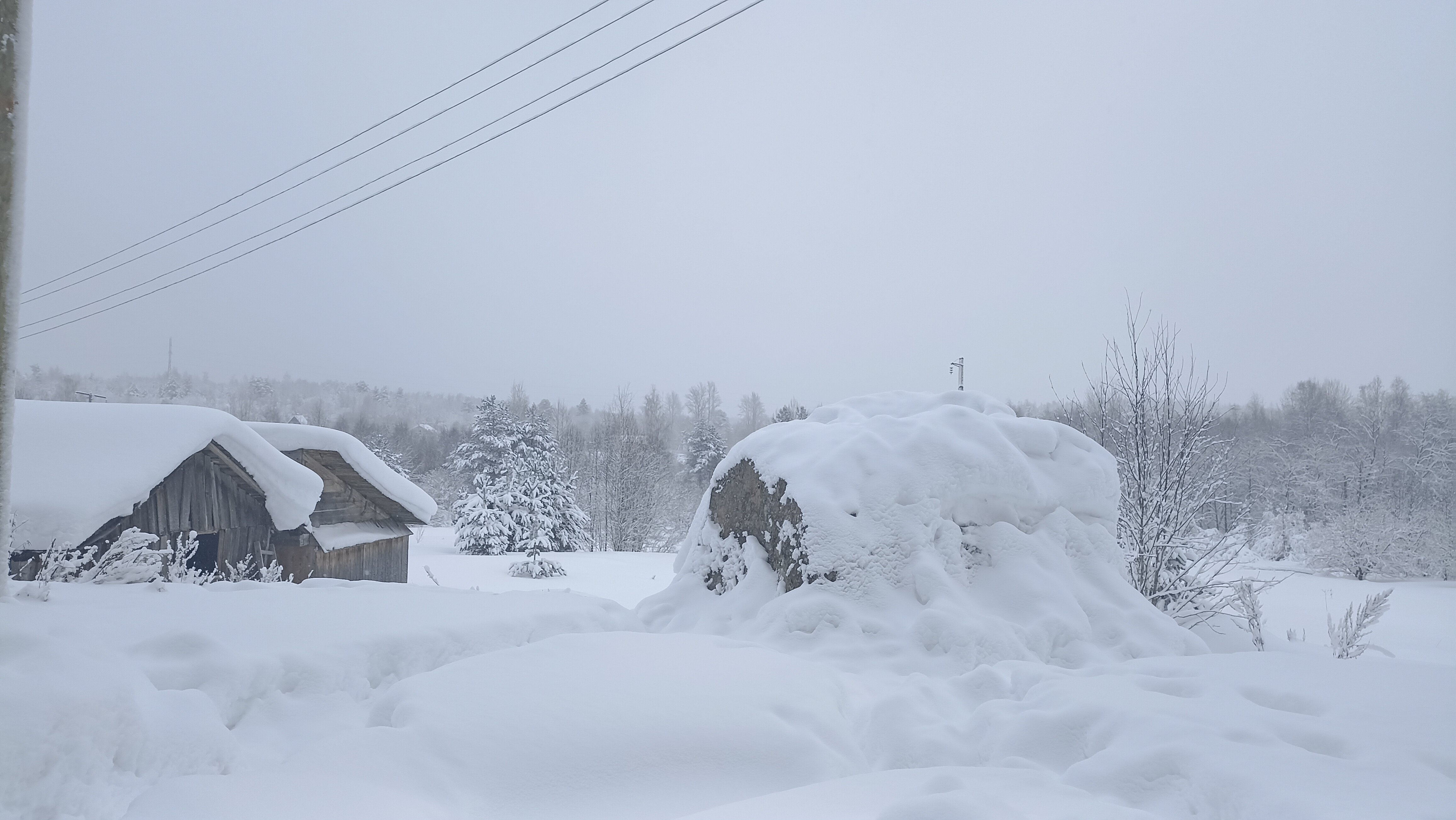 Фото Хутор Milka