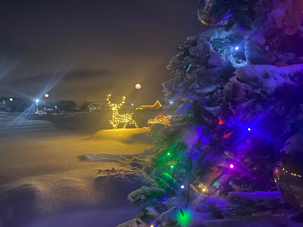 Фото Ярославские озерки