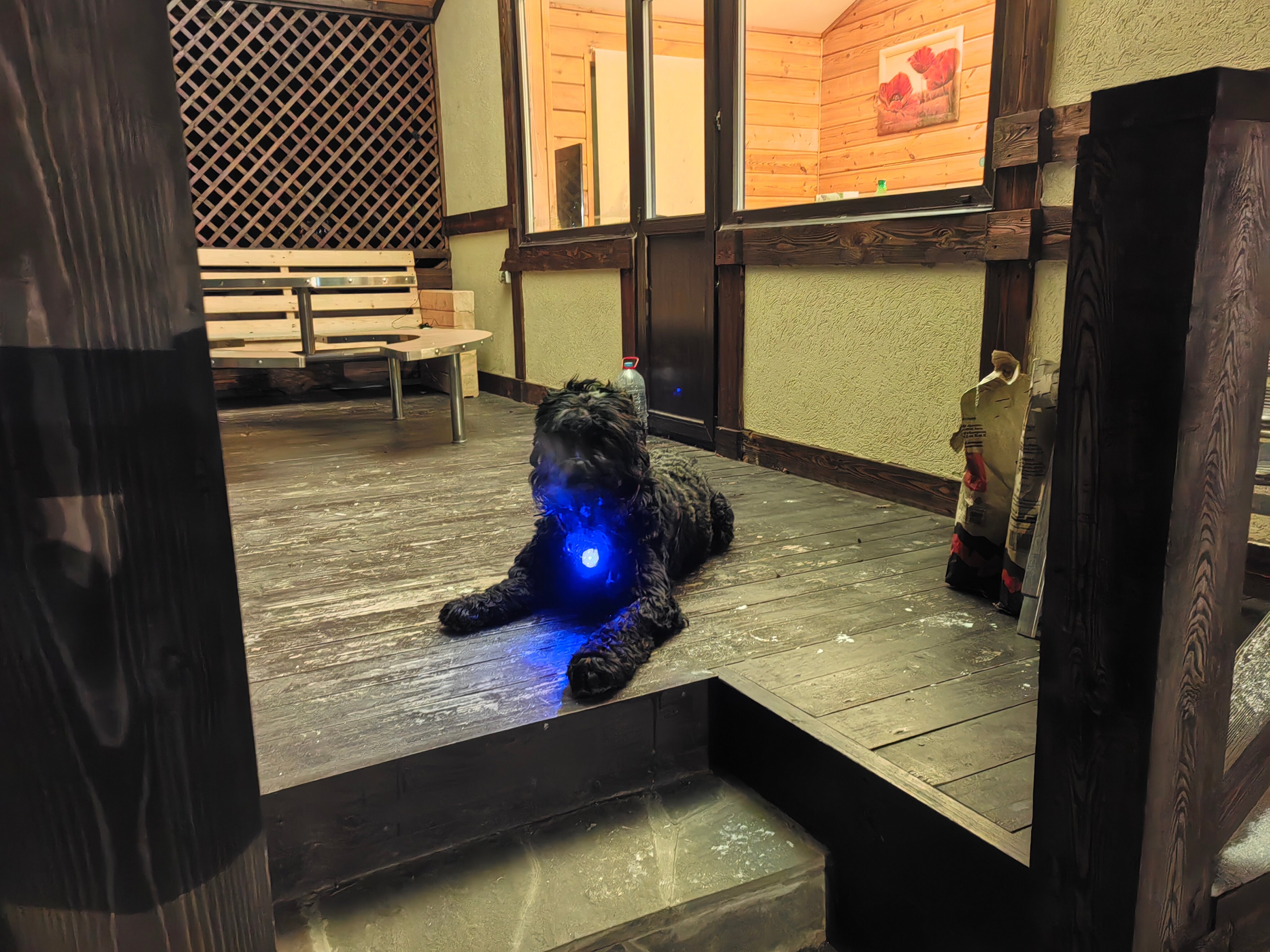 Фото Вилла Бор Волго