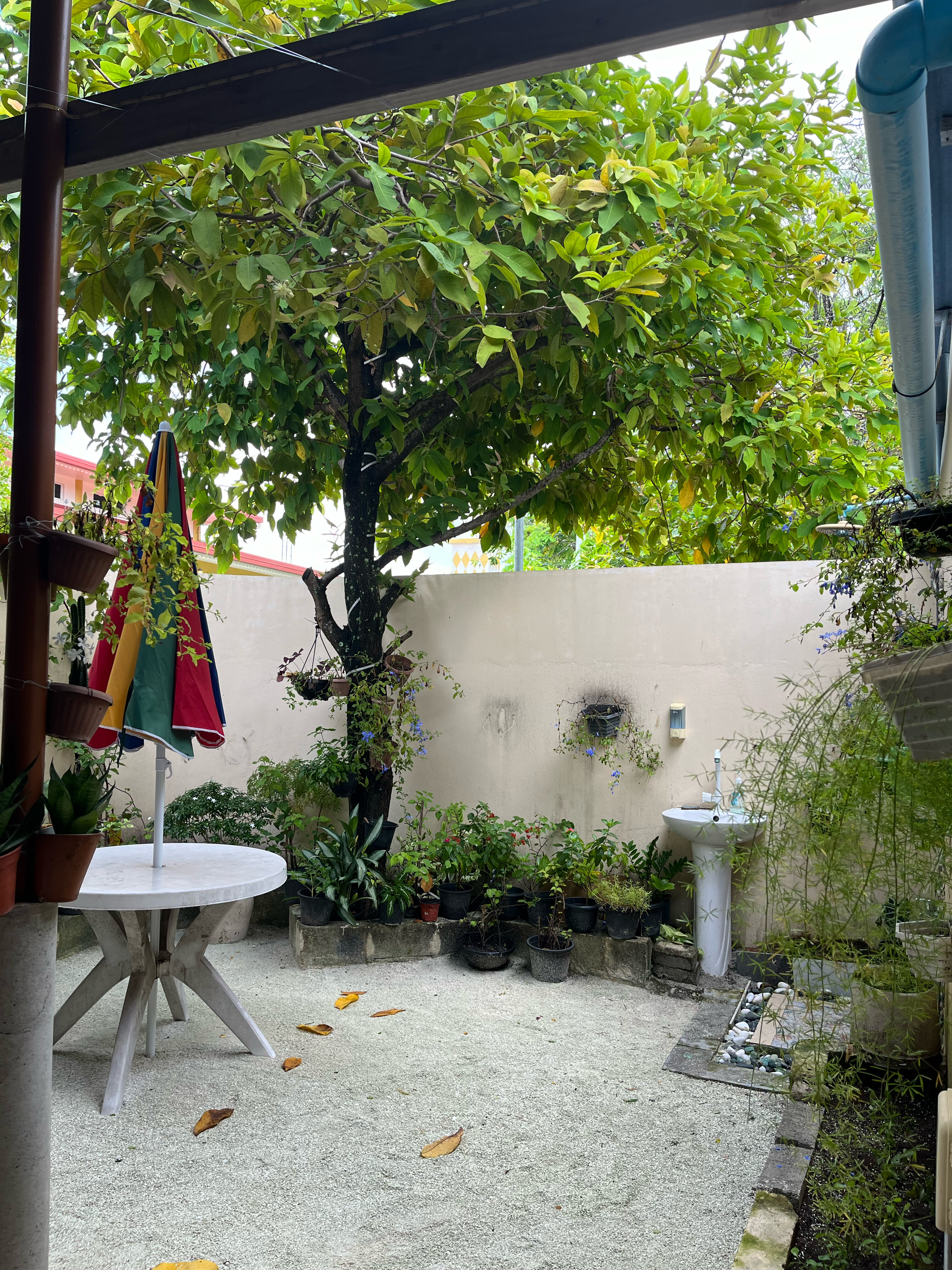Фото Kaafu Inn Guraidhoo