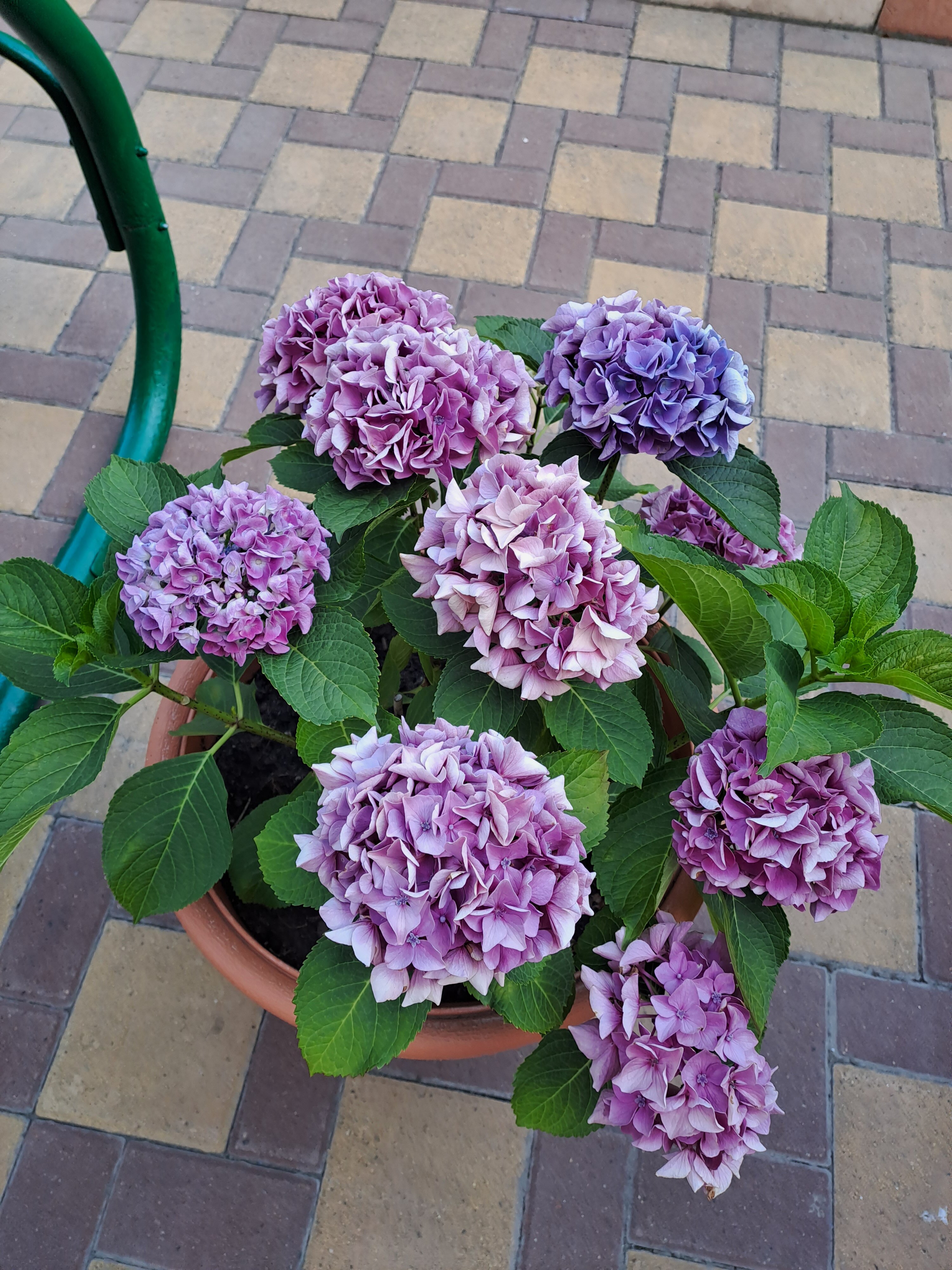 Фото Невский