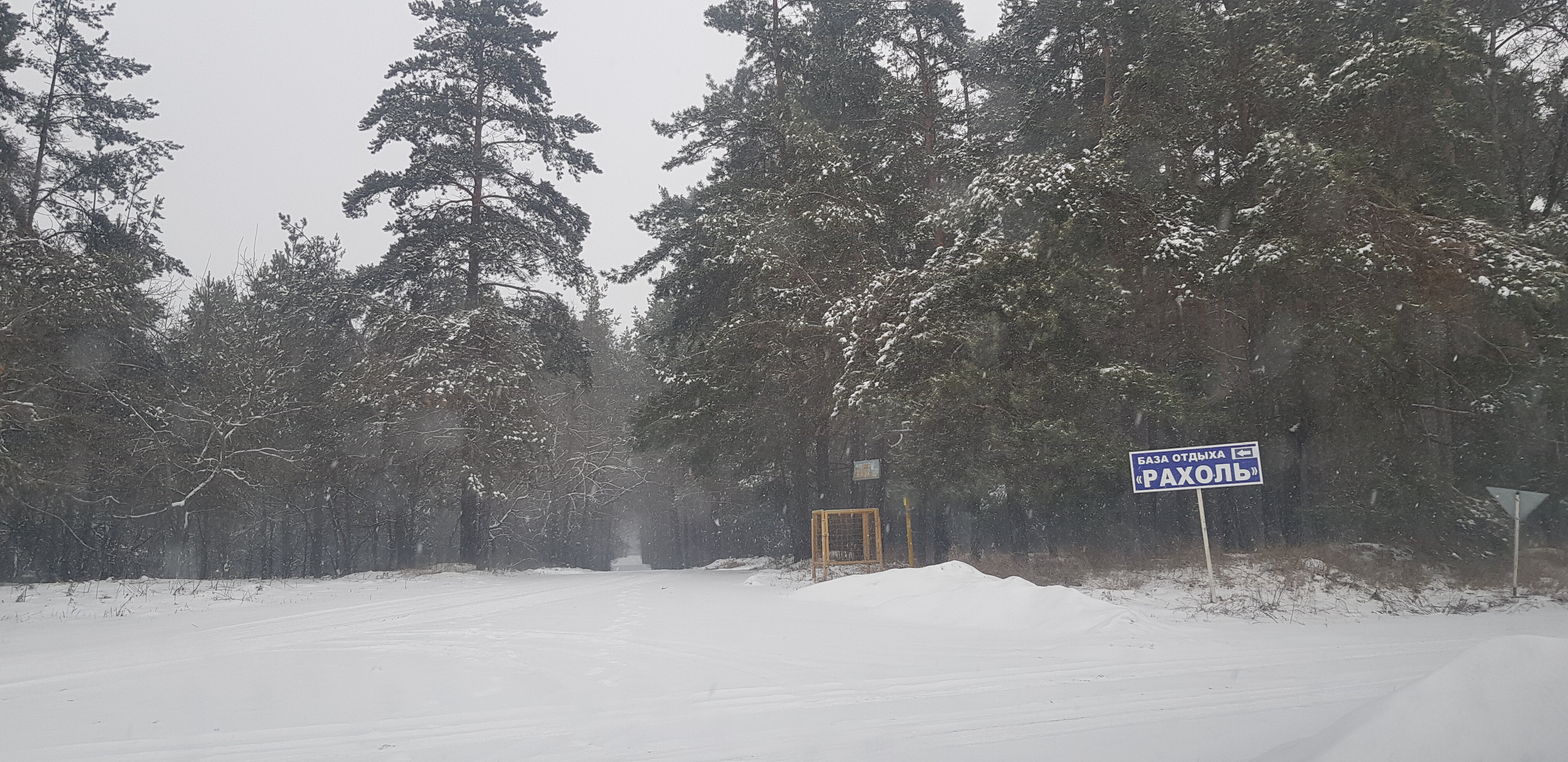 Фото Рахоль