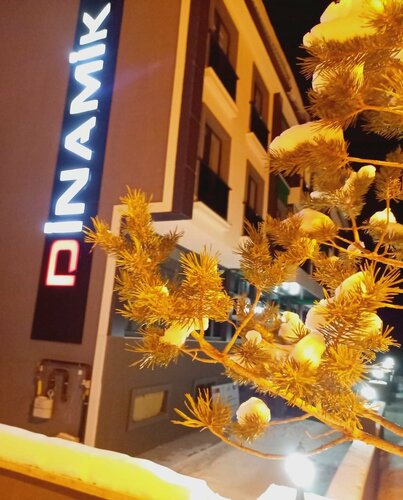 Гостиница Dinamik Otel Sarıkamış в Сарыкамыше