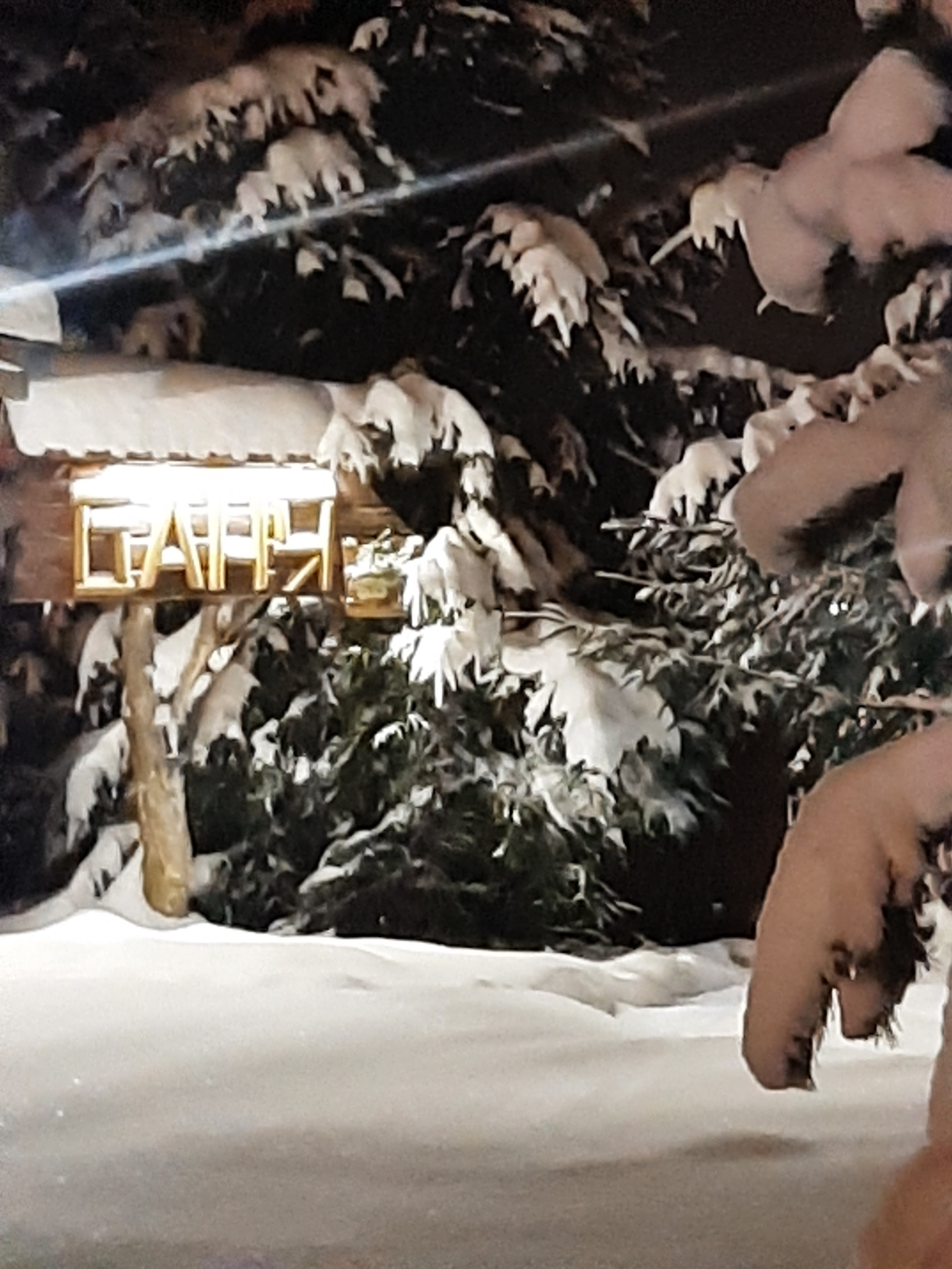 Фото Тихая Заводь