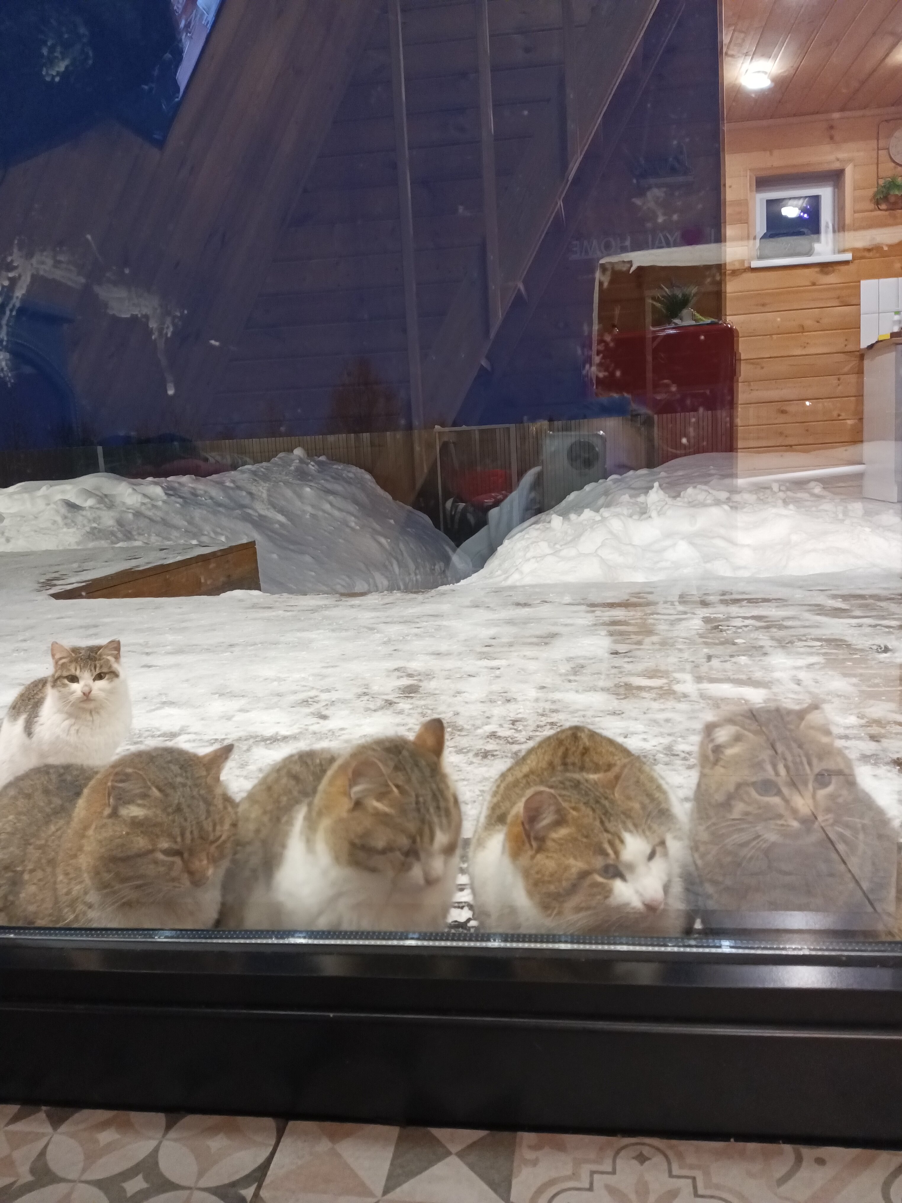 Фото Ял Хоум