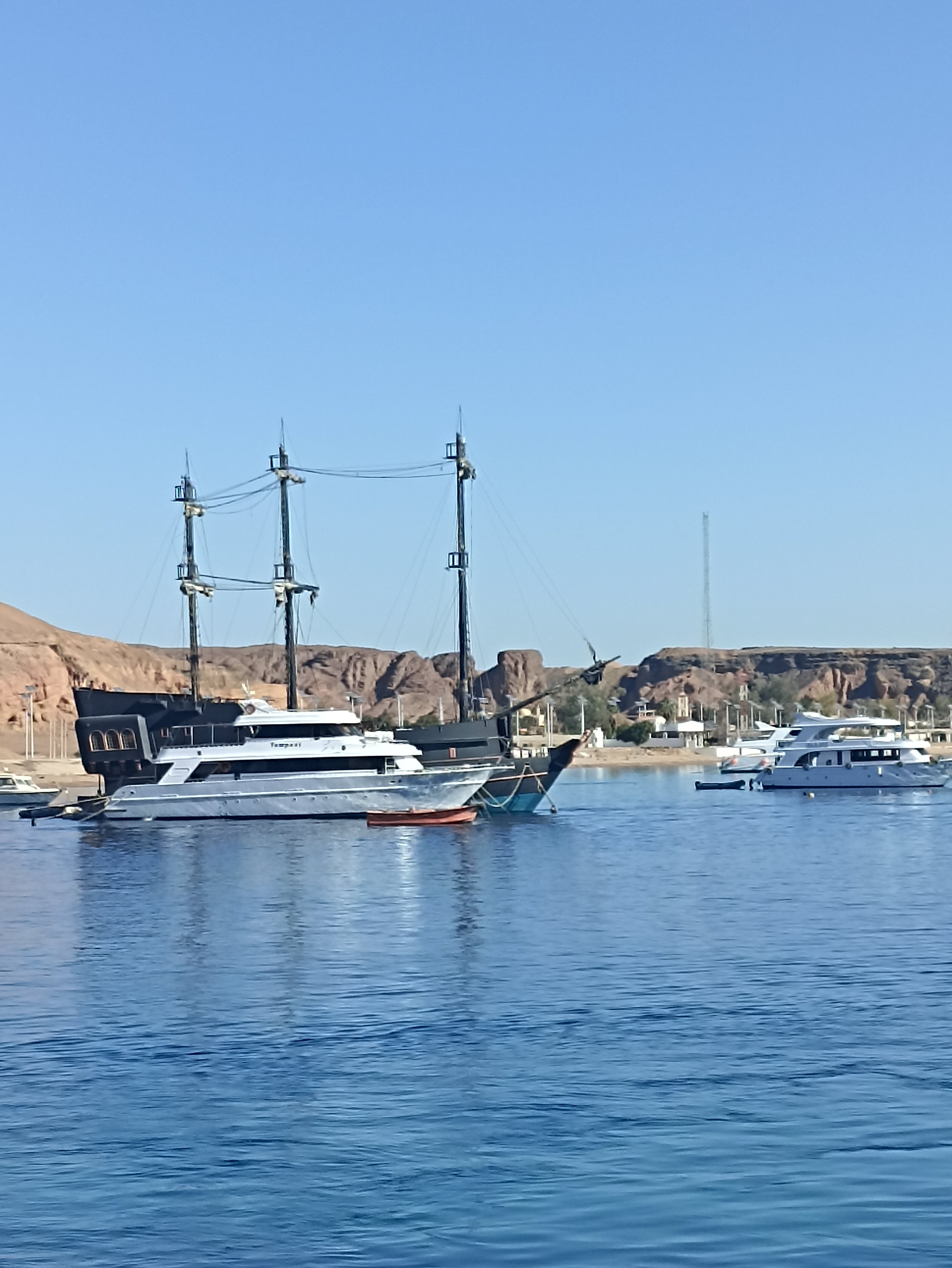 Фото Parrotel Beach Resort