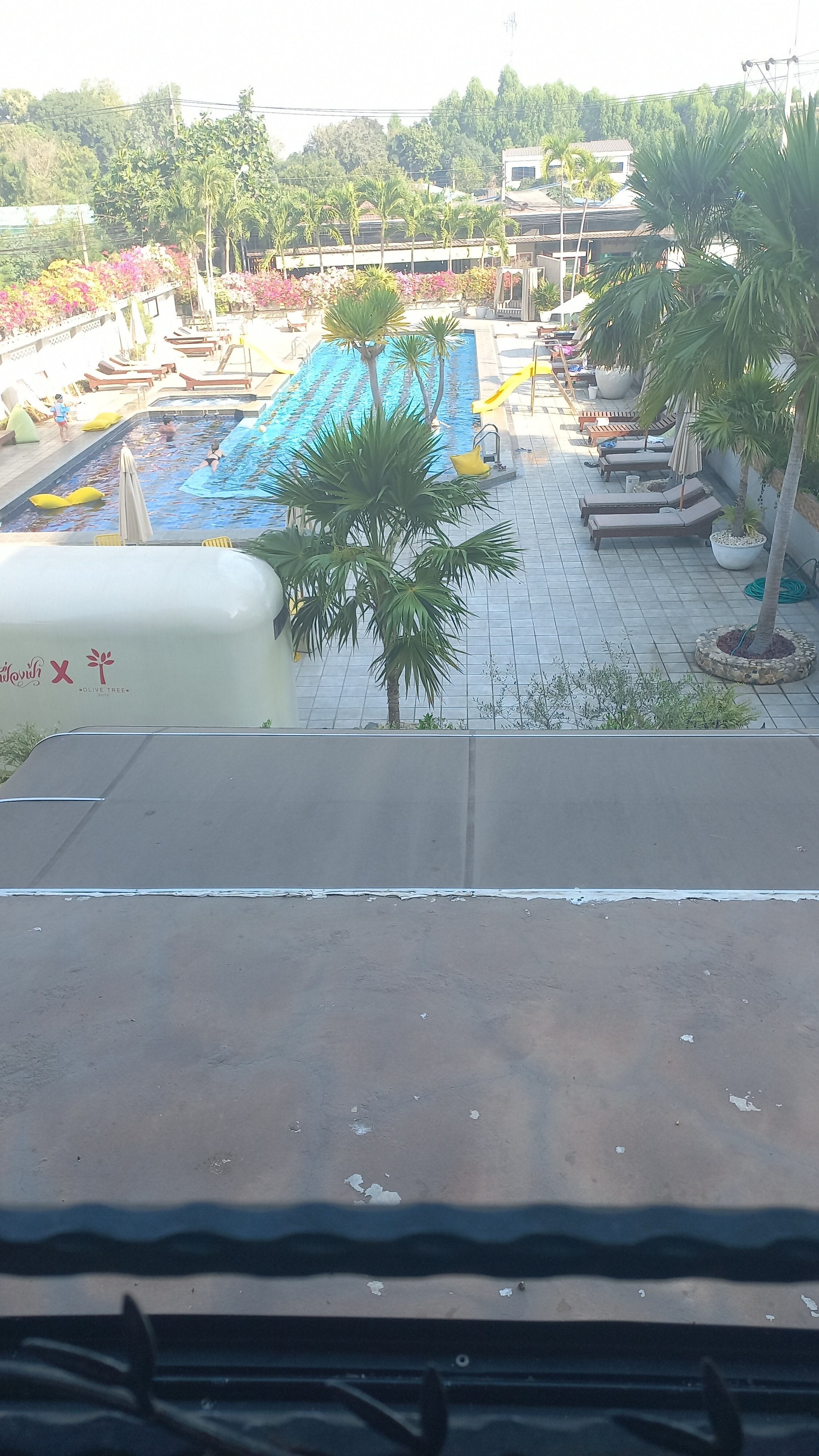 Фото Olive Tree Hotel