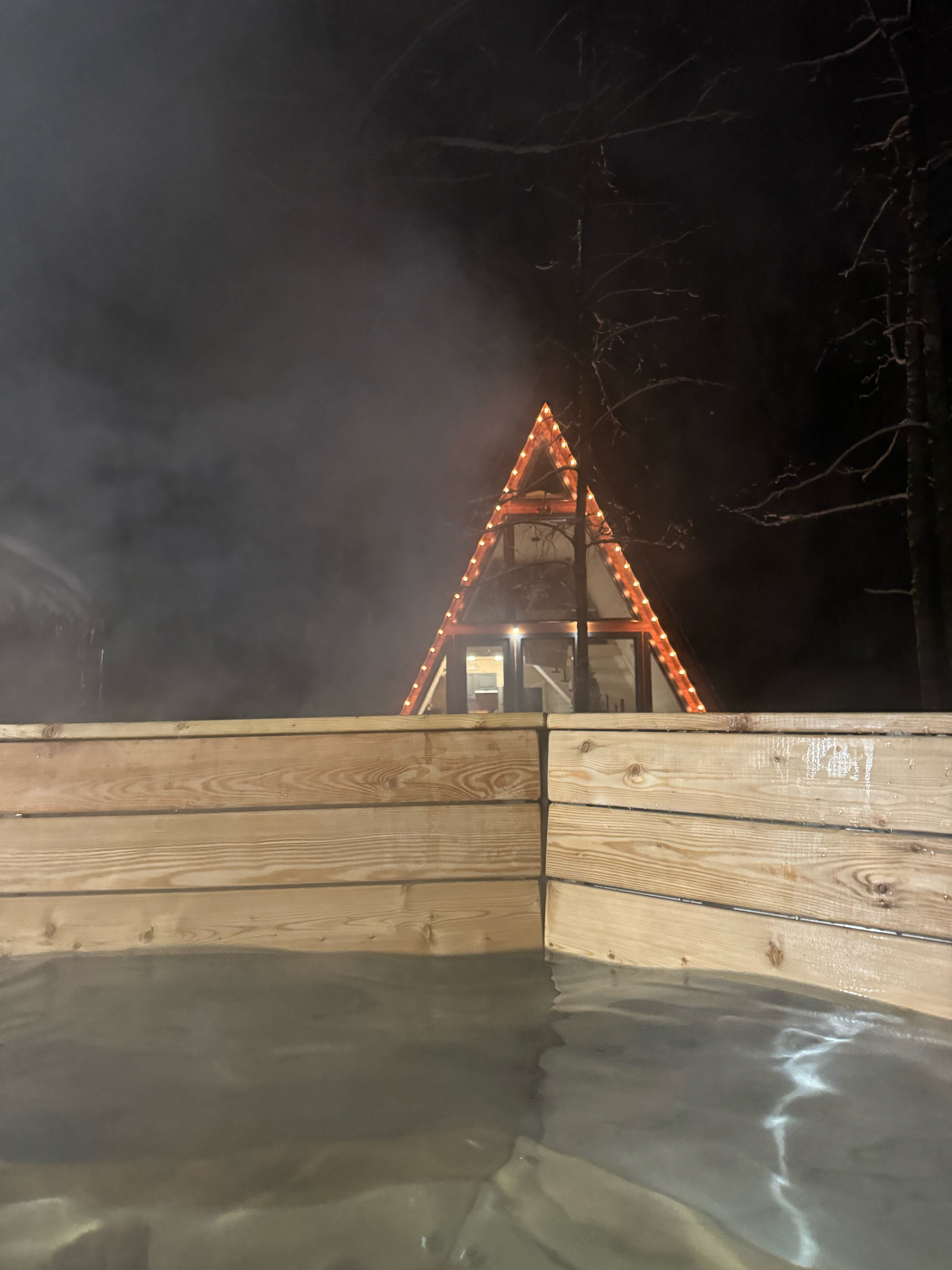 Фото Aframe Forest Home