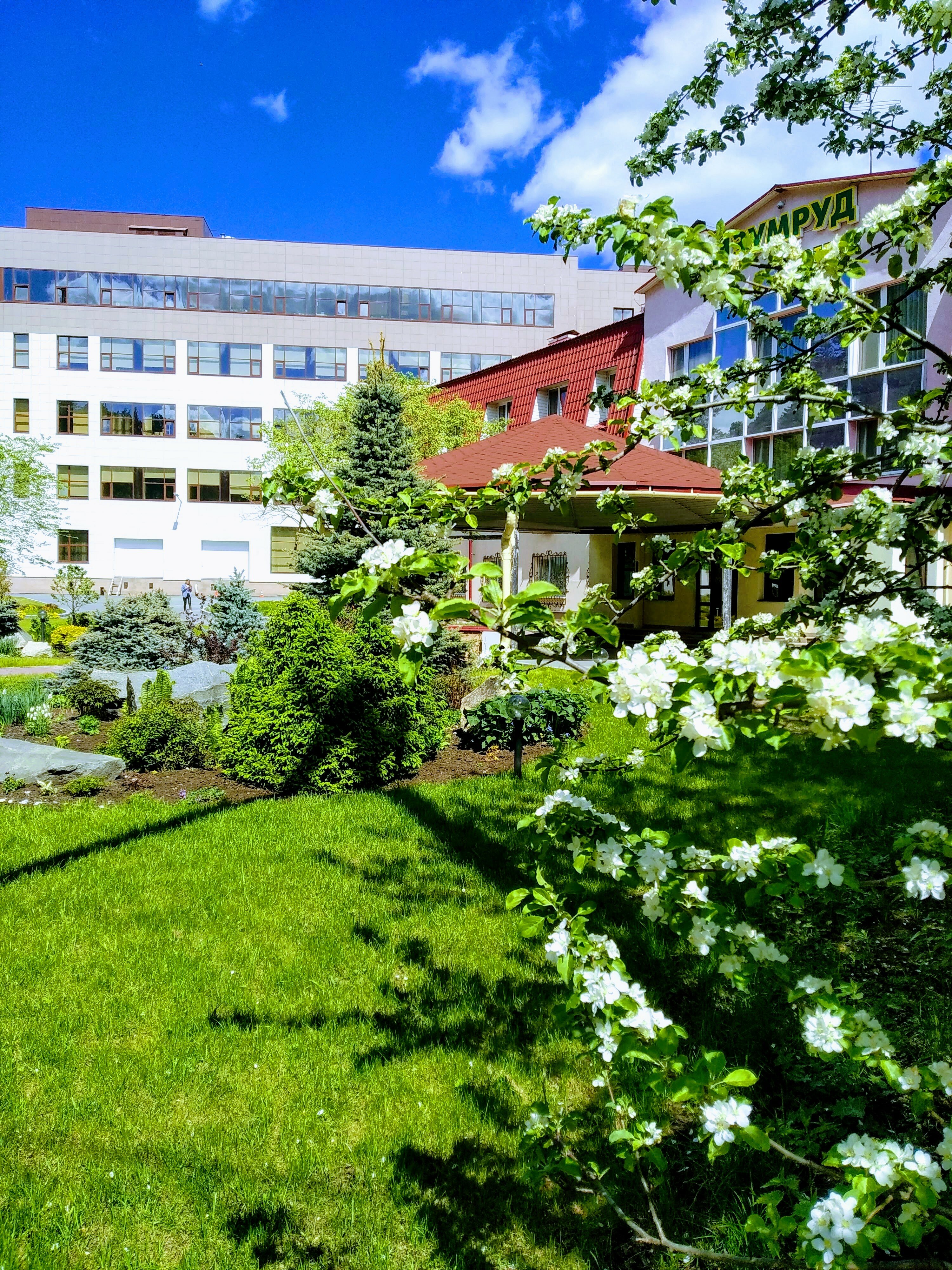 Фото Изумруд